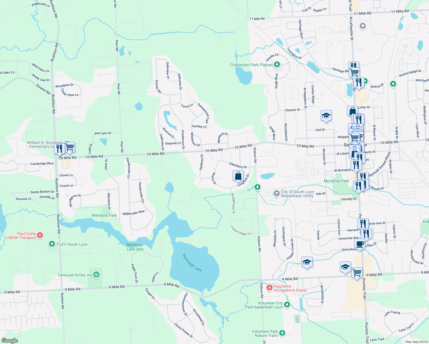map of restaurants, bars, coffee shops, grocery stores, and more near 10281 Royce Dr in South Lyon