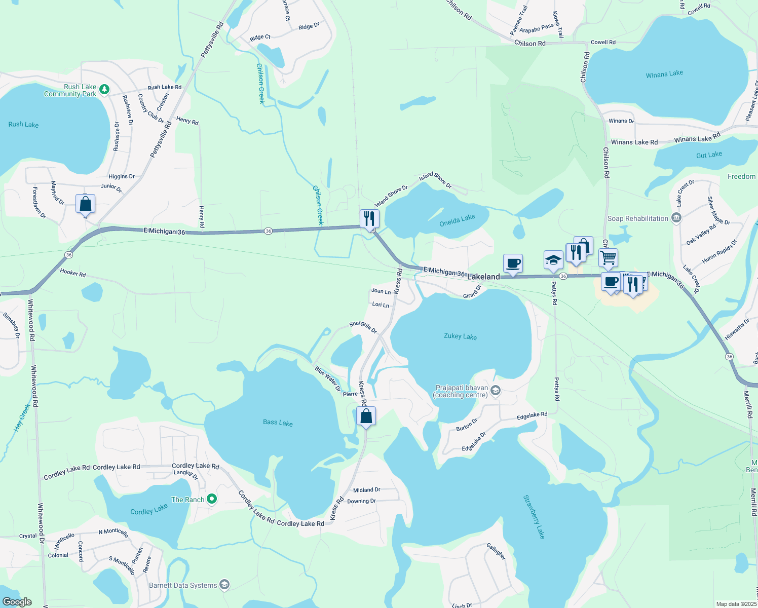 map of restaurants, bars, coffee shops, grocery stores, and more near 4741 Lori Lane in Pinckney