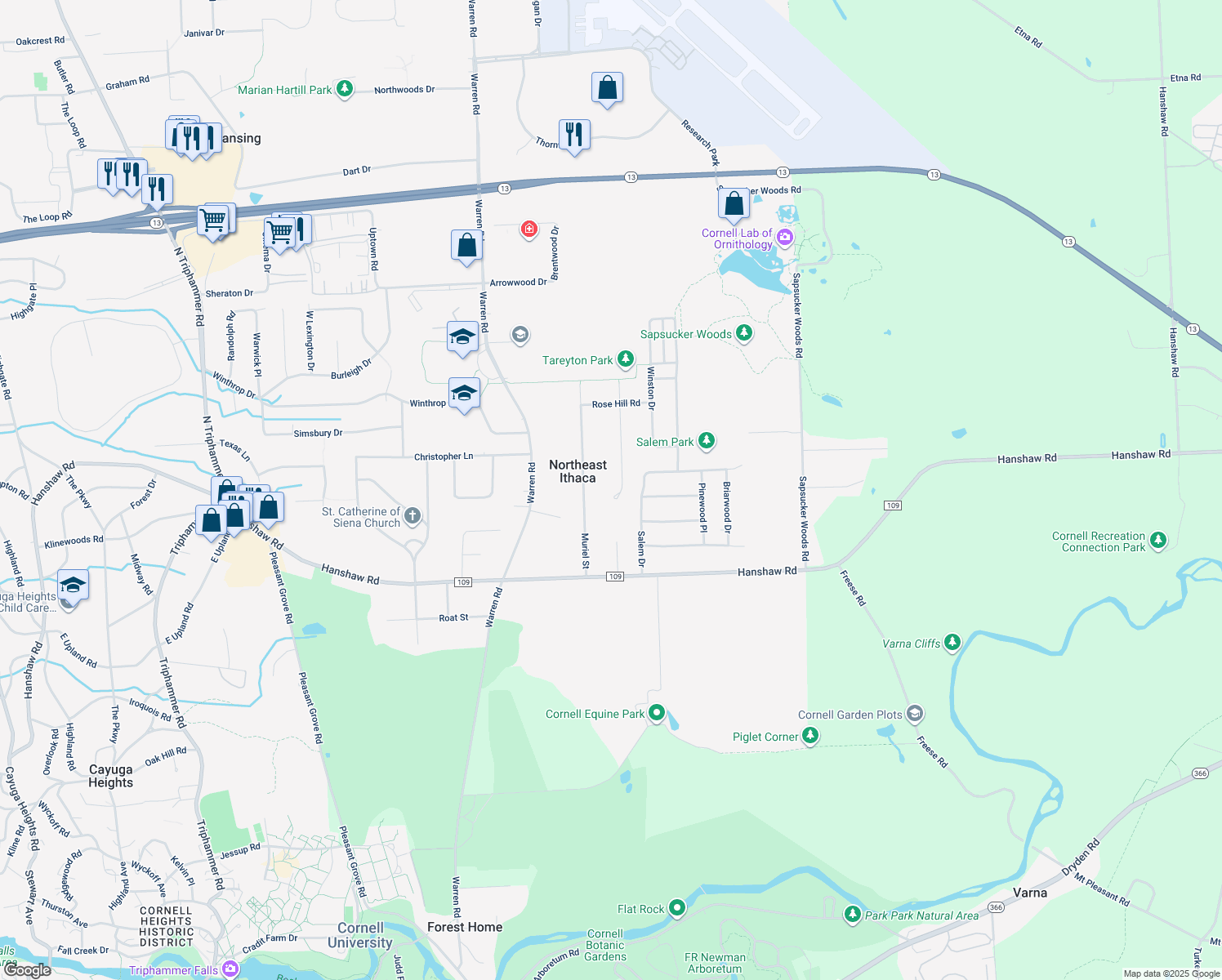 map of restaurants, bars, coffee shops, grocery stores, and more near 199 Tareyton Dr in Ithaca