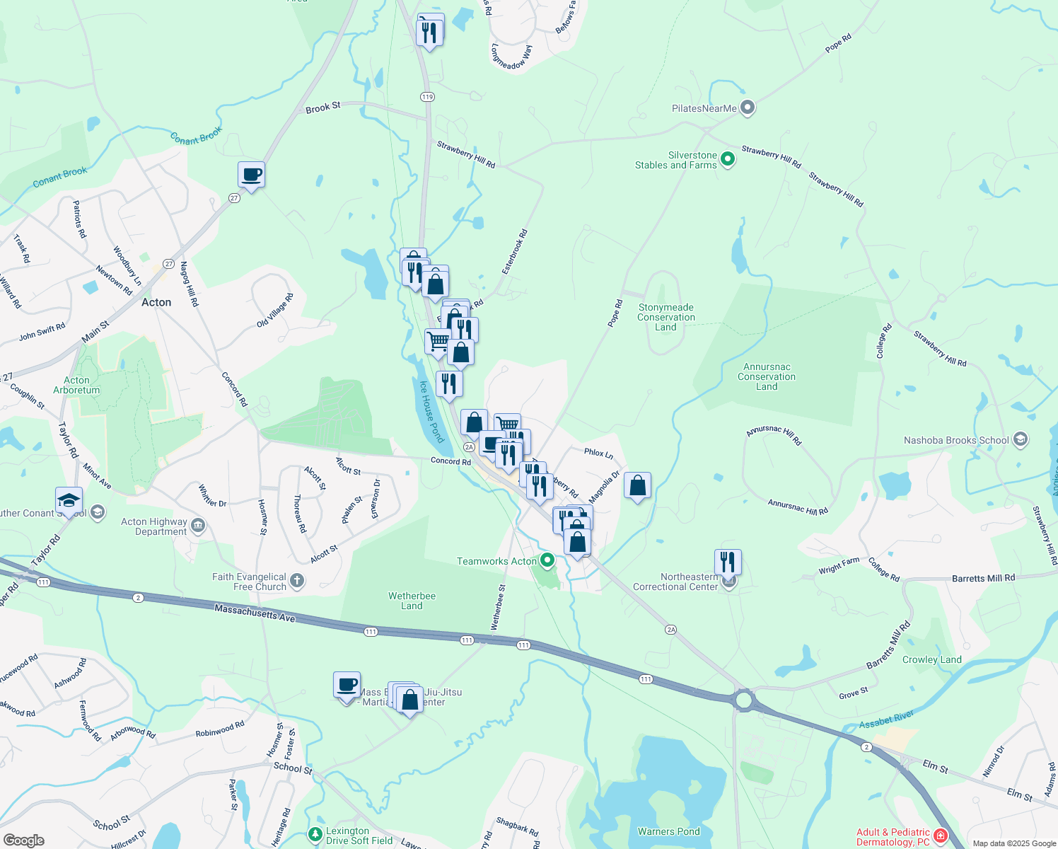 6 Brabrook Road, Acton MA Walk Score