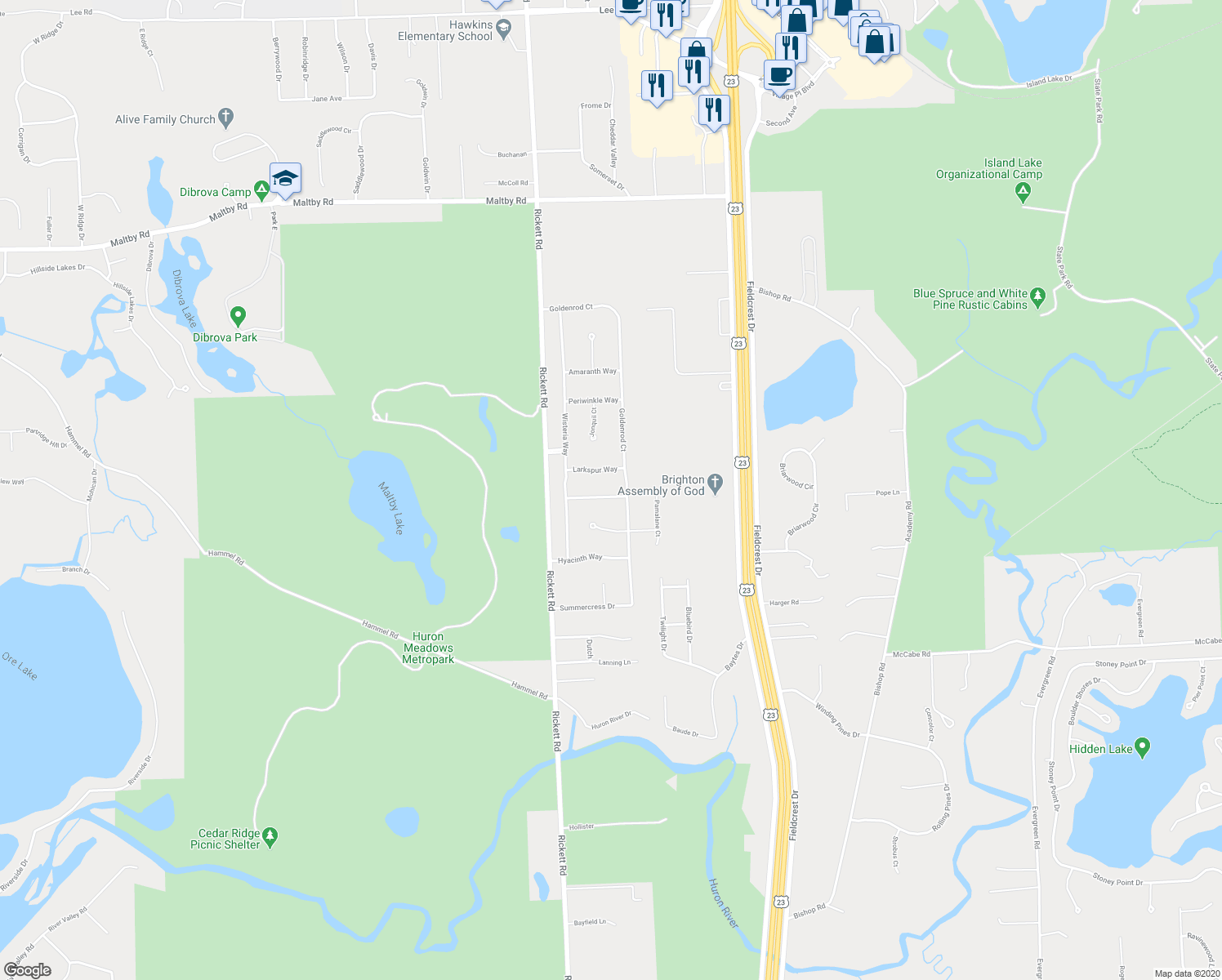 map of restaurants, bars, coffee shops, grocery stores, and more near 9271 Coriander Way in Brighton