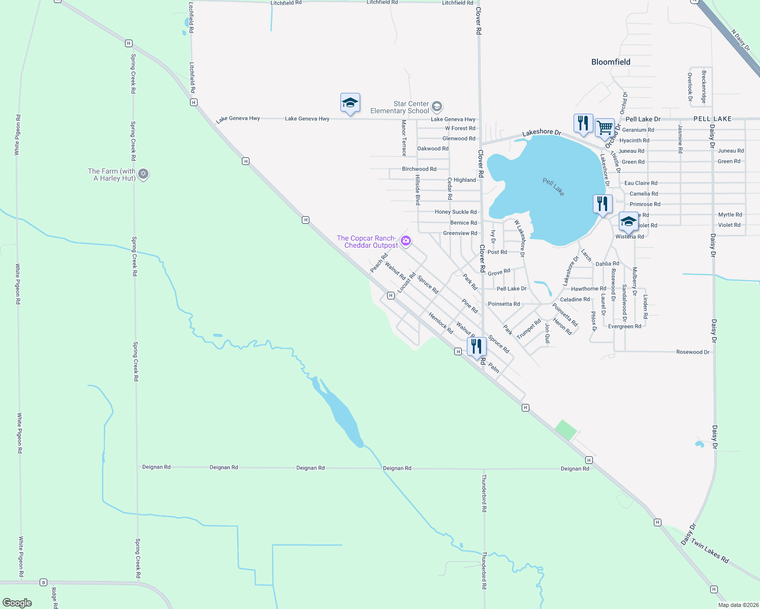 map of restaurants, bars, coffee shops, grocery stores, and more near N1191 Walworth Road in Genoa City