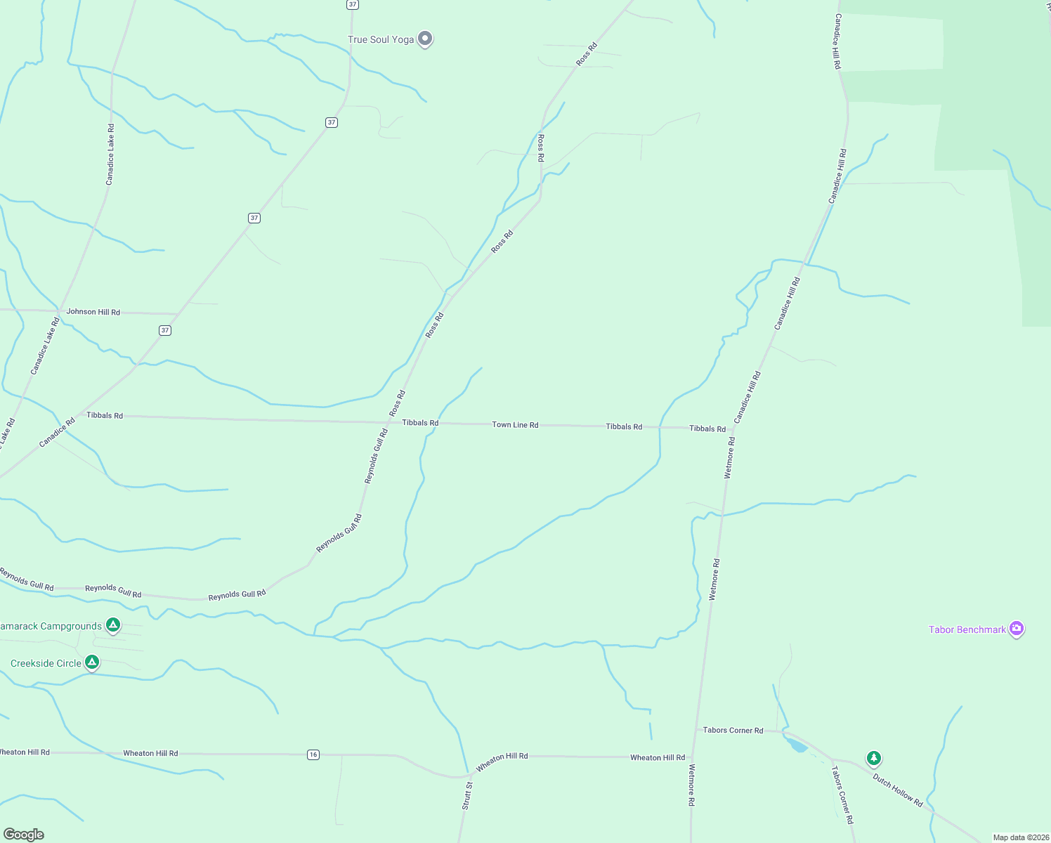 map of restaurants, bars, coffee shops, grocery stores, and more near 9138 Town Line Road in Springwater