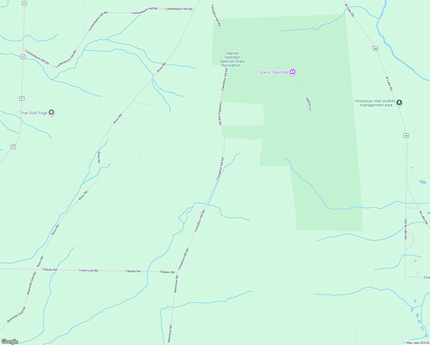 map of restaurants, bars, coffee shops, grocery stores, and more near 6952 Canadice Hill Road in Springwater