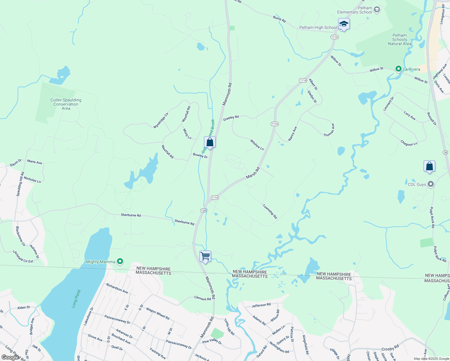 1 Carol Street, Pelham NH Walk Score