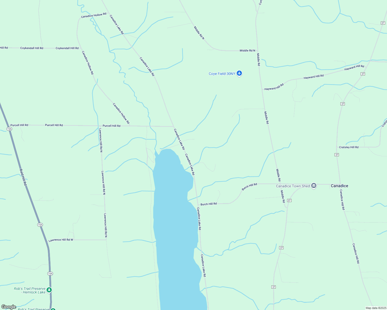 5869 Canadice Lake Road, Springwater NY Walk Score