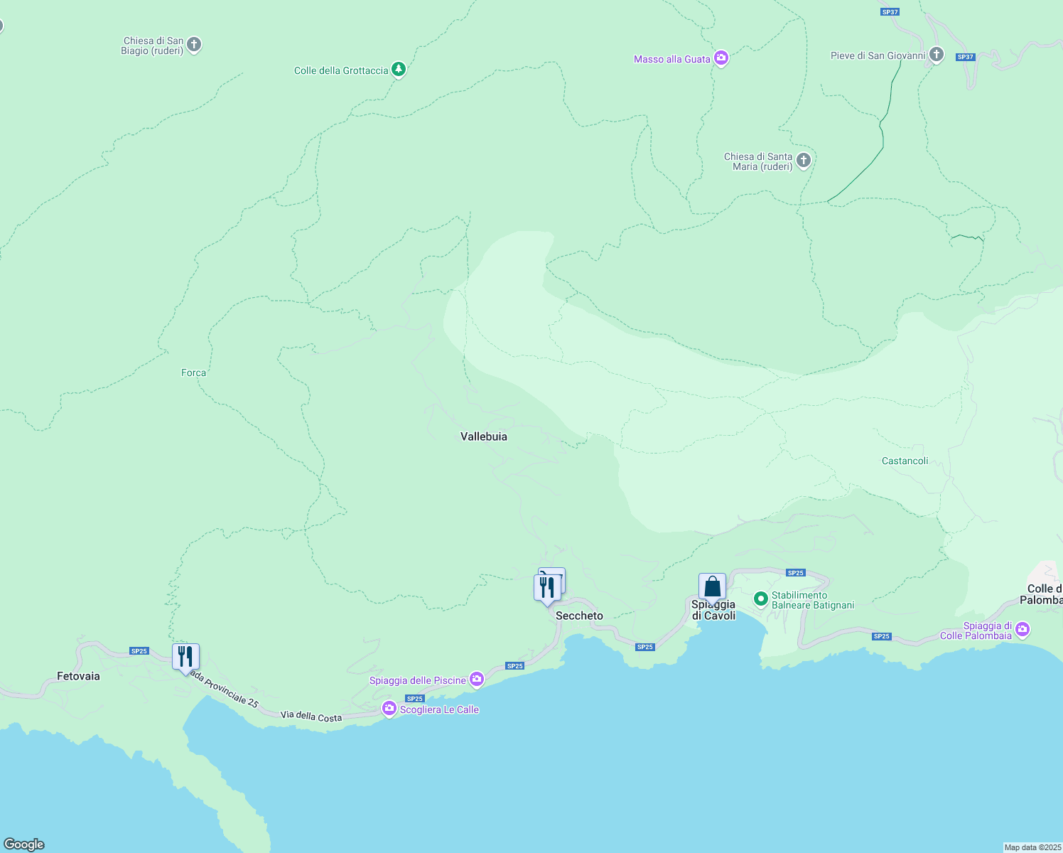 map of restaurants, bars, coffee shops, grocery stores, and more near 419 Via del Serone in Provincia di Livorno