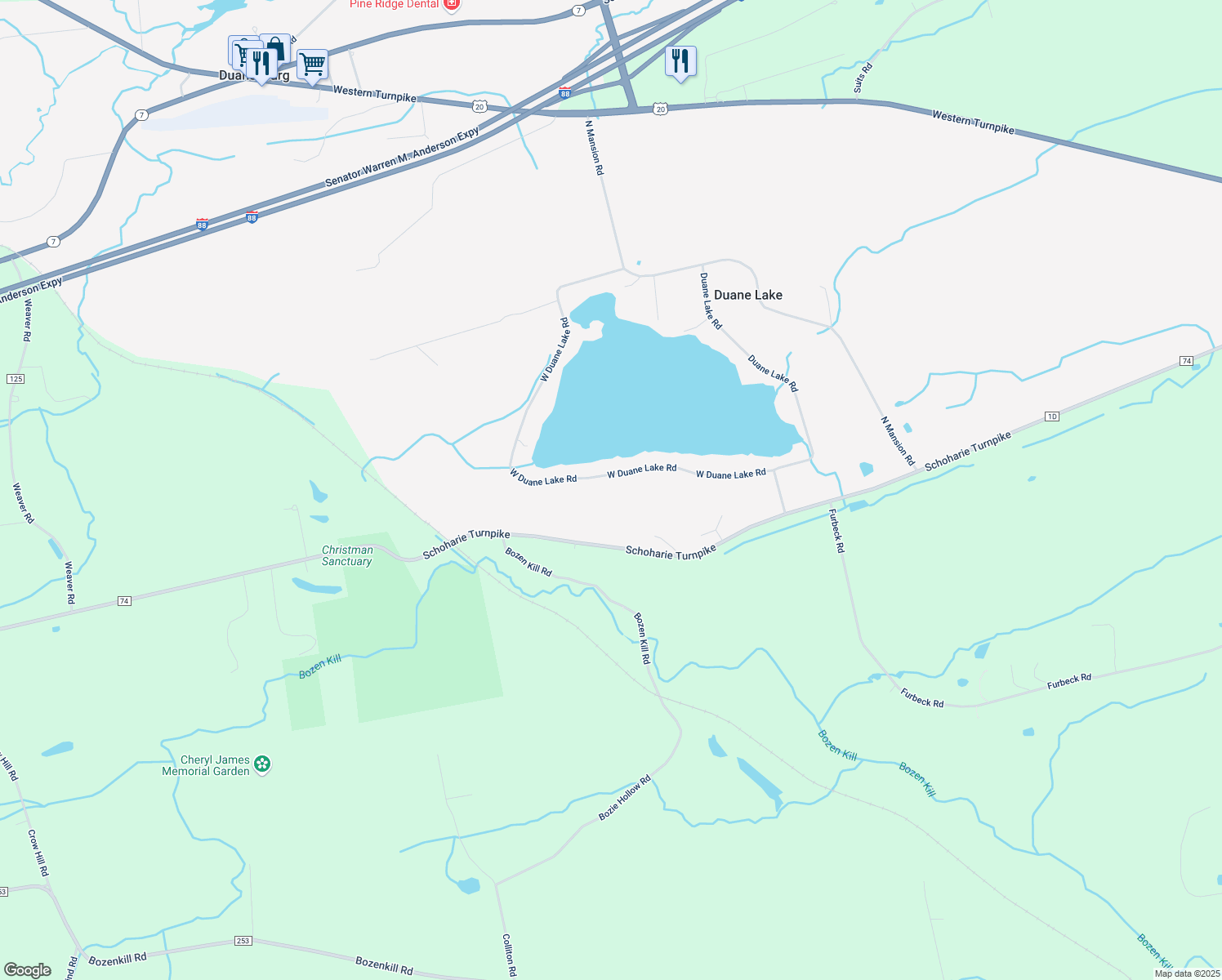map of restaurants, bars, coffee shops, grocery stores, and more near 990 West Duane Lake Road in Duanesburg
