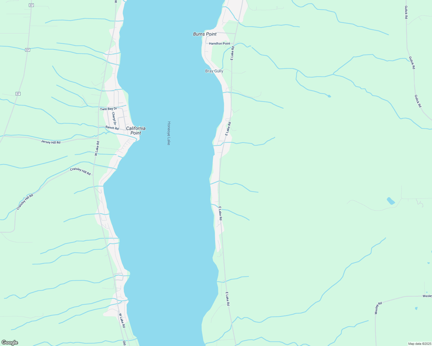 map of restaurants, bars, coffee shops, grocery stores, and more near 5588 East Lake Road in Honeoye