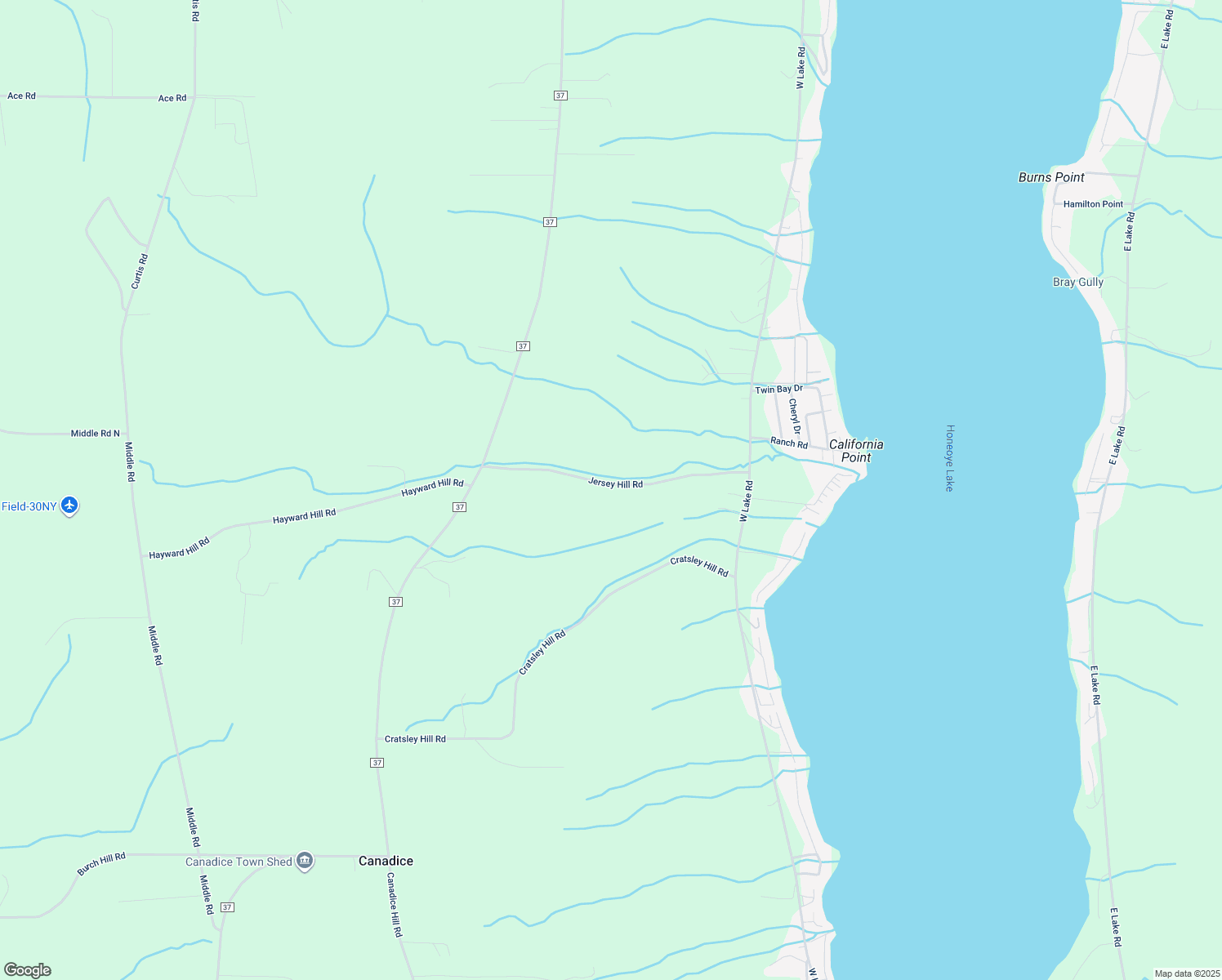 map of restaurants, bars, coffee shops, grocery stores, and more near 8923 Jersey Hill Road in Honeoye