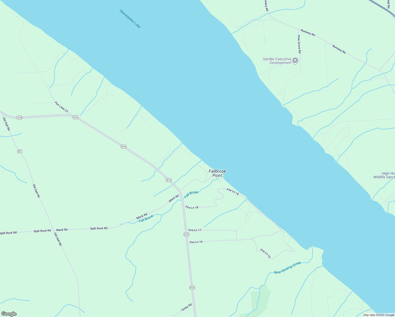 map of restaurants, bars, coffee shops, grocery stores, and more near 101 Carlton's Cliff in Skaneateles