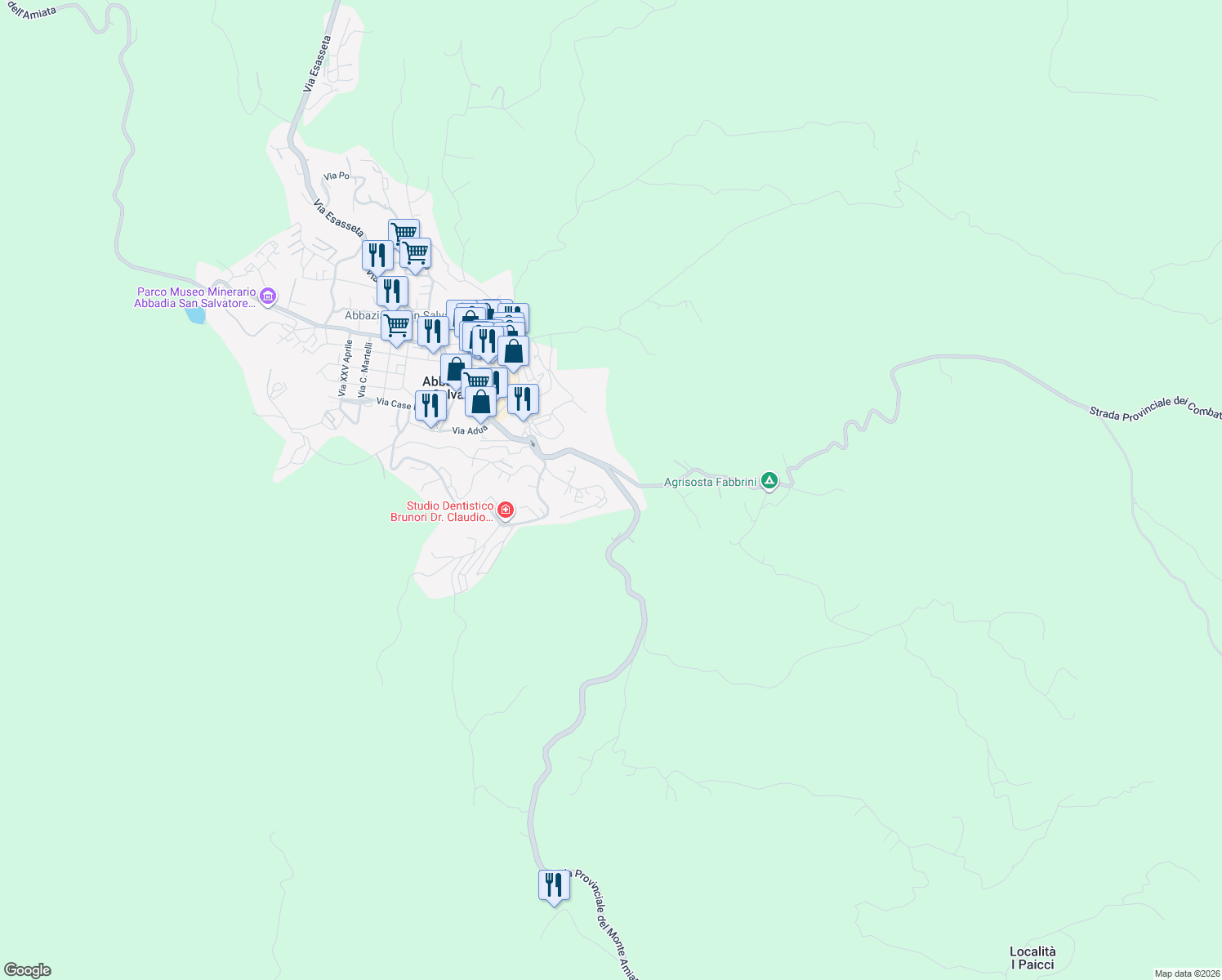 map of restaurants, bars, coffee shops, grocery stores, and more near Strada Provinciale del Monte Amiata in Abbadia San Salvatore