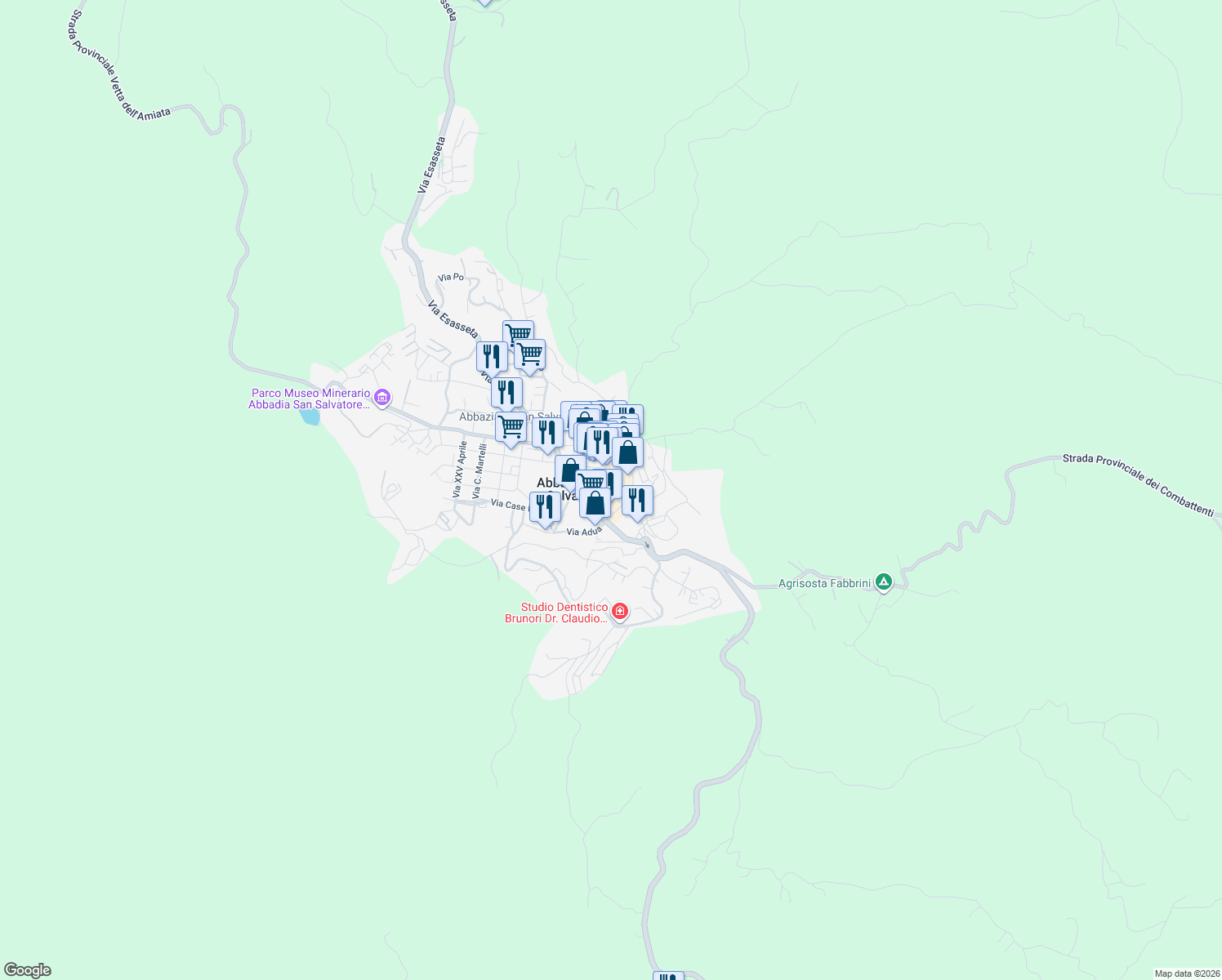 map of restaurants, bars, coffee shops, grocery stores, and more near 53 Viale Roma in Abbadia San Salvatore