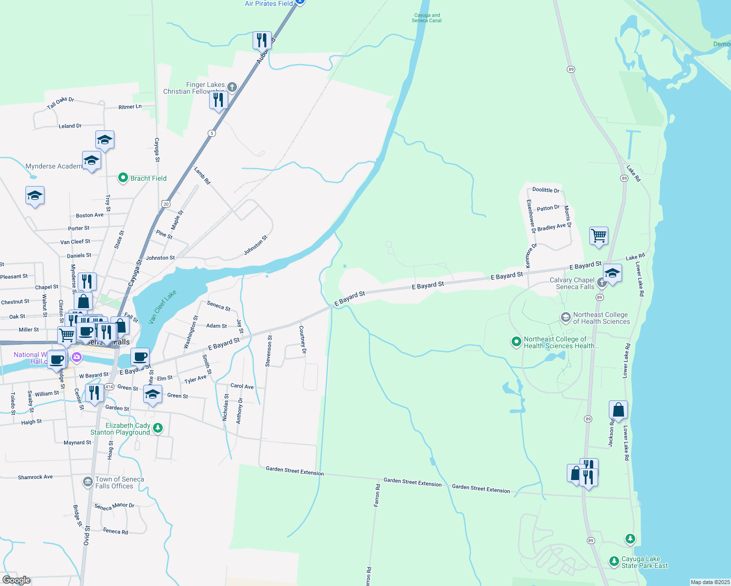 East Bayard Street, Seneca Falls NY Walk Score
