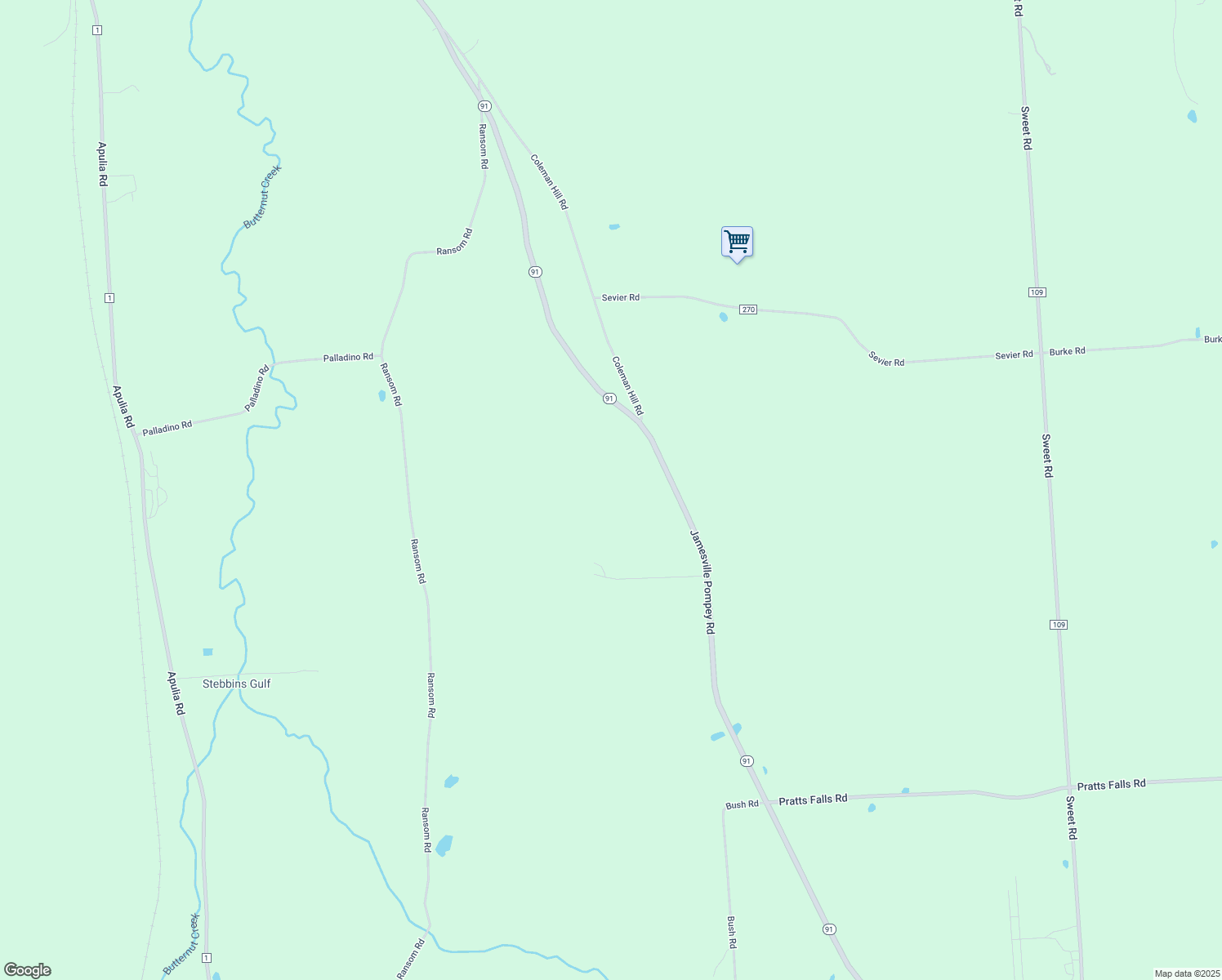 map of restaurants, bars, coffee shops, grocery stores, and more near 3499 New York 91 in Jamesville