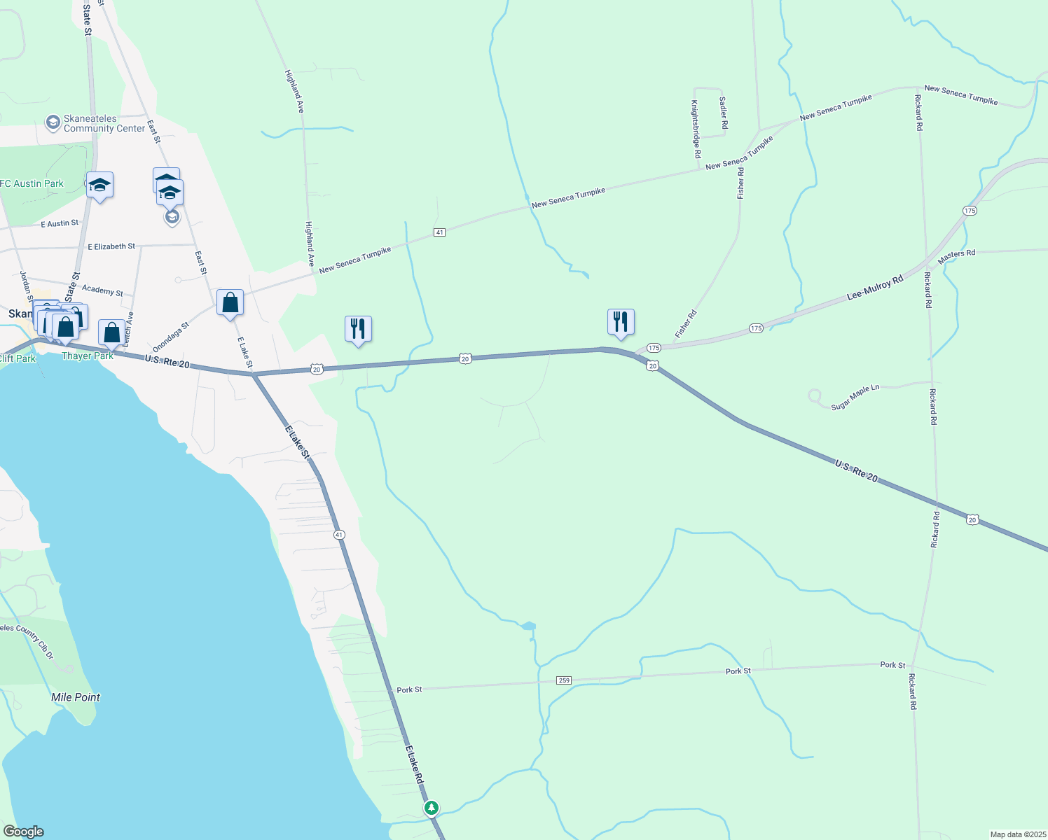 map of restaurants, bars, coffee shops, grocery stores, and more near 3542 Lost Hollow Rd in Skaneateles