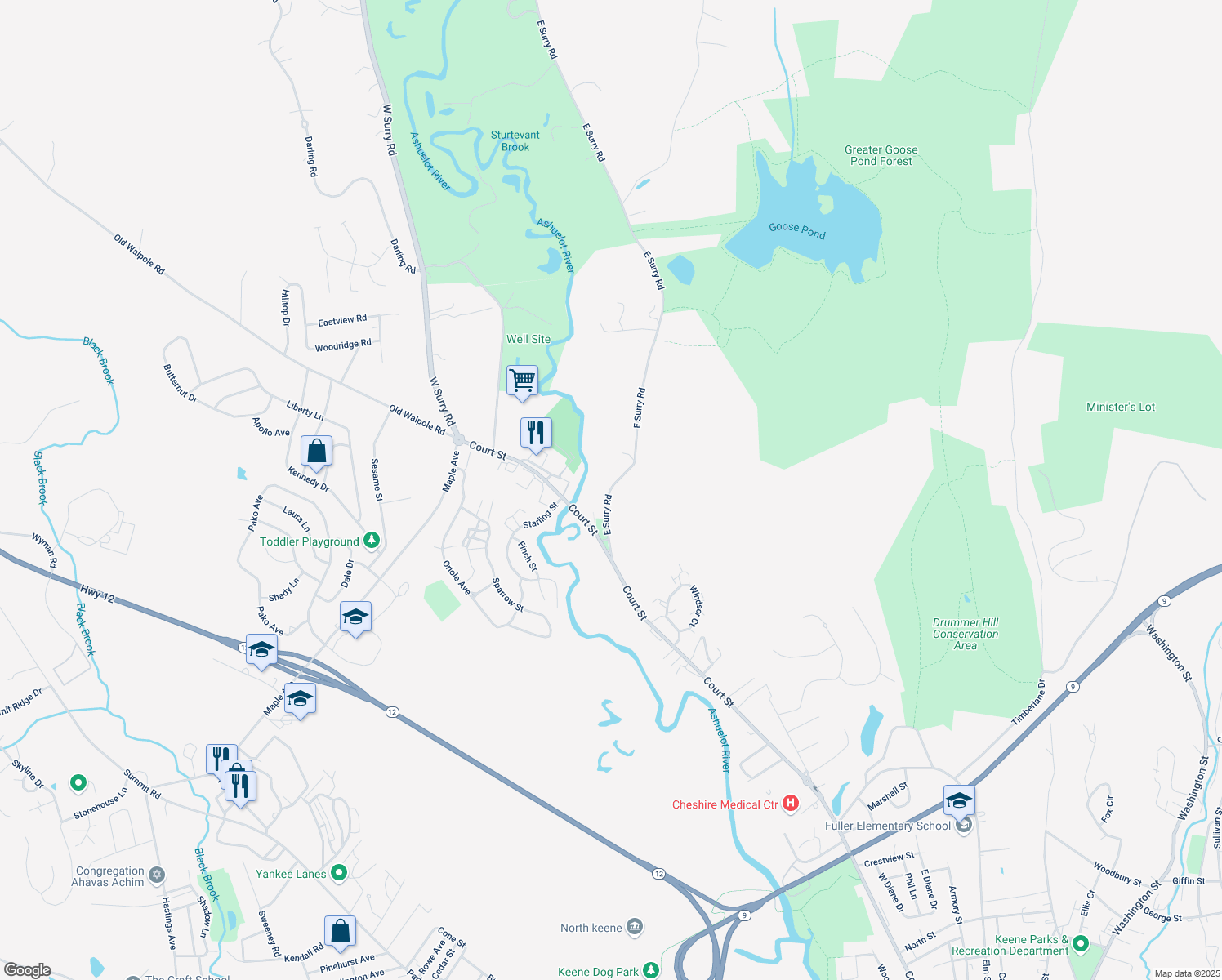 map of restaurants, bars, coffee shops, grocery stores, and more near 62 E Surry Rd in Keene