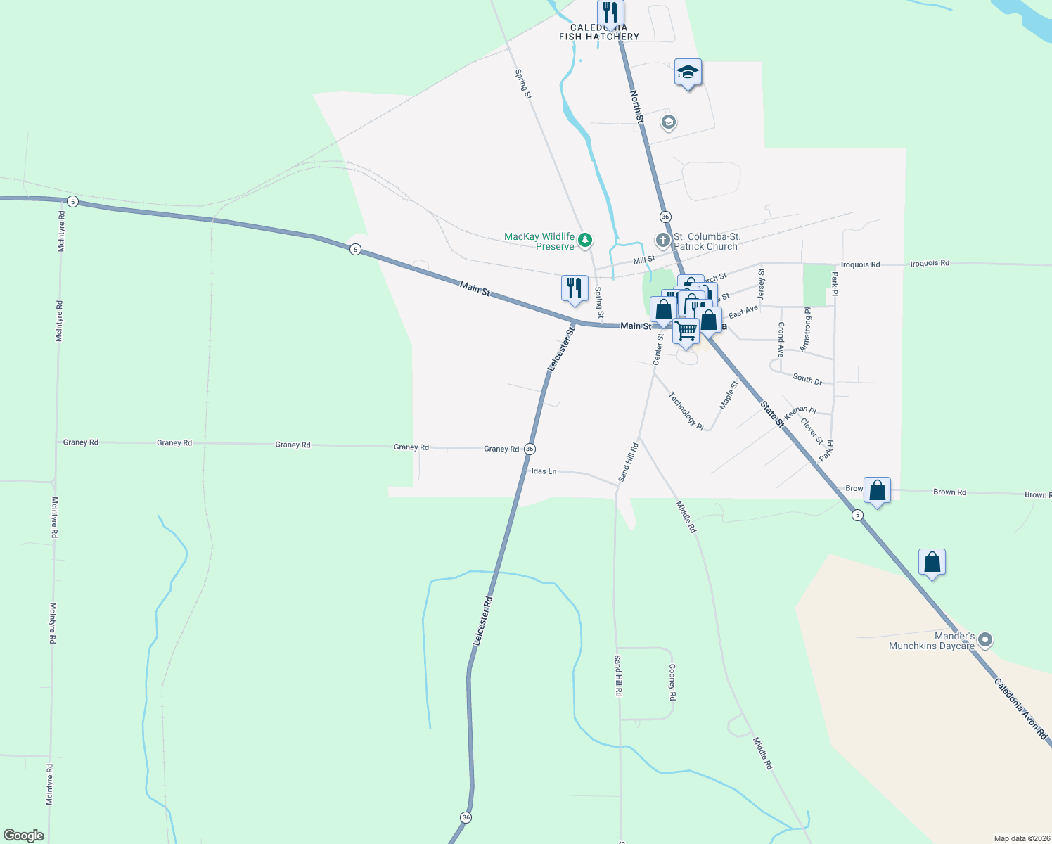 map of restaurants, bars, coffee shops, grocery stores, and more near 370 Leicester Rd in Caledonia