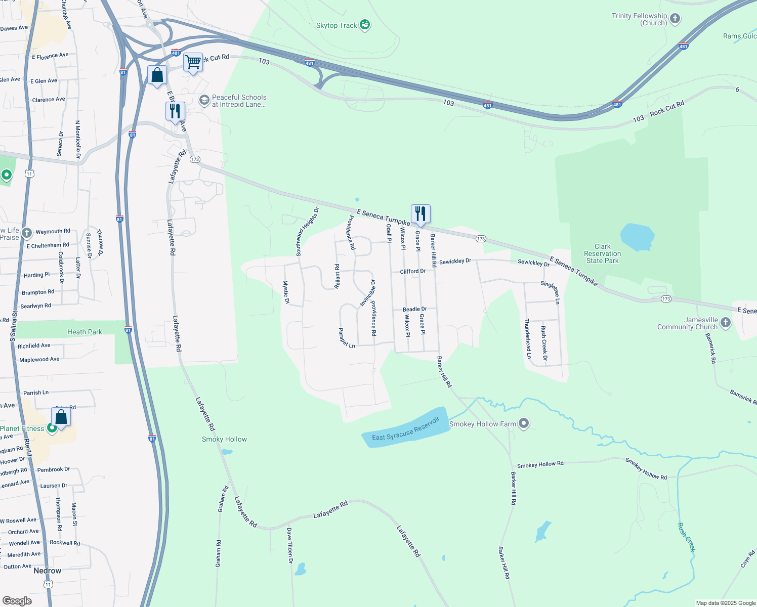 4566 Providence Road, Jamesville NY Walk Score