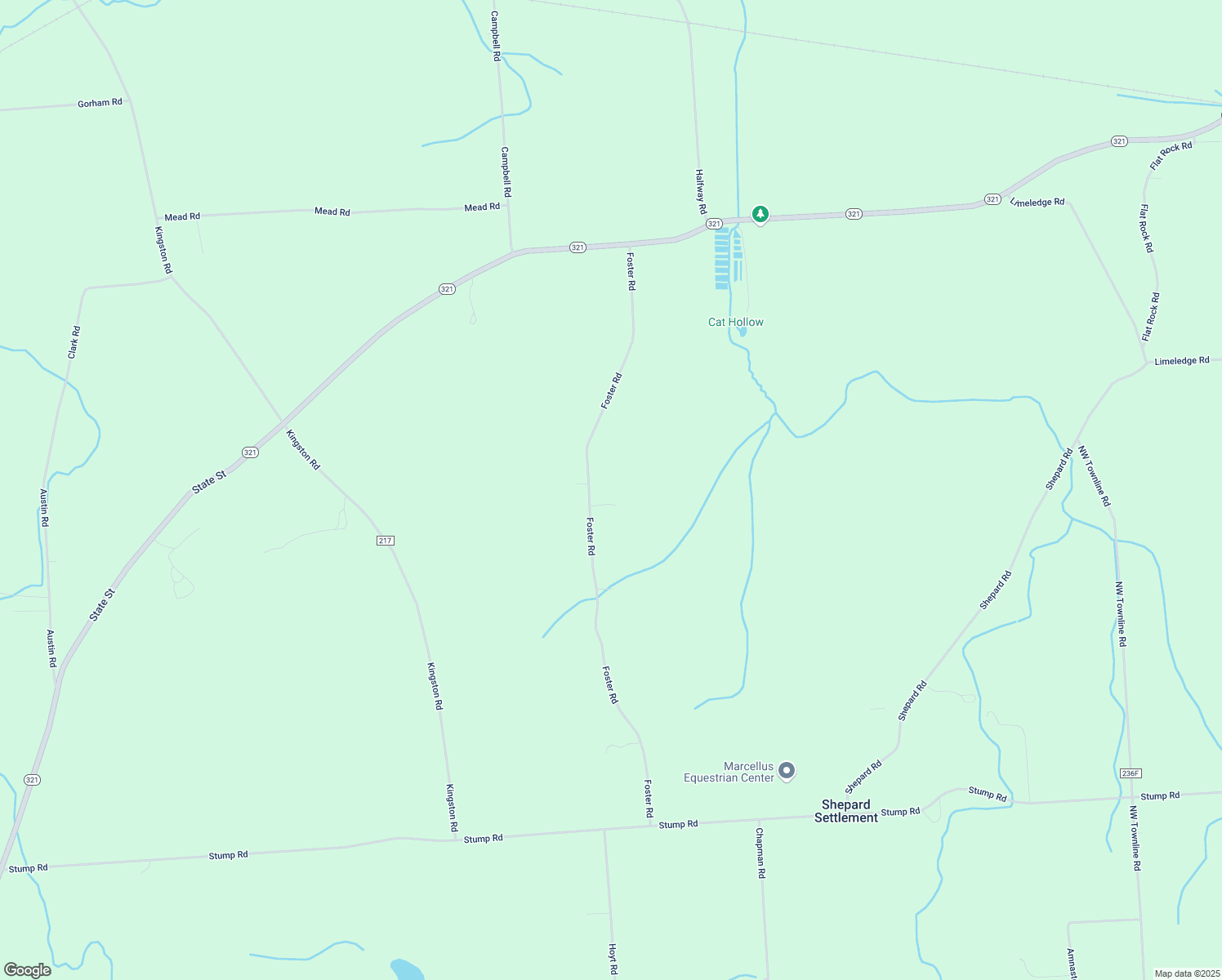 map of restaurants, bars, coffee shops, grocery stores, and more near 4890 Foster Road in Onondaga County