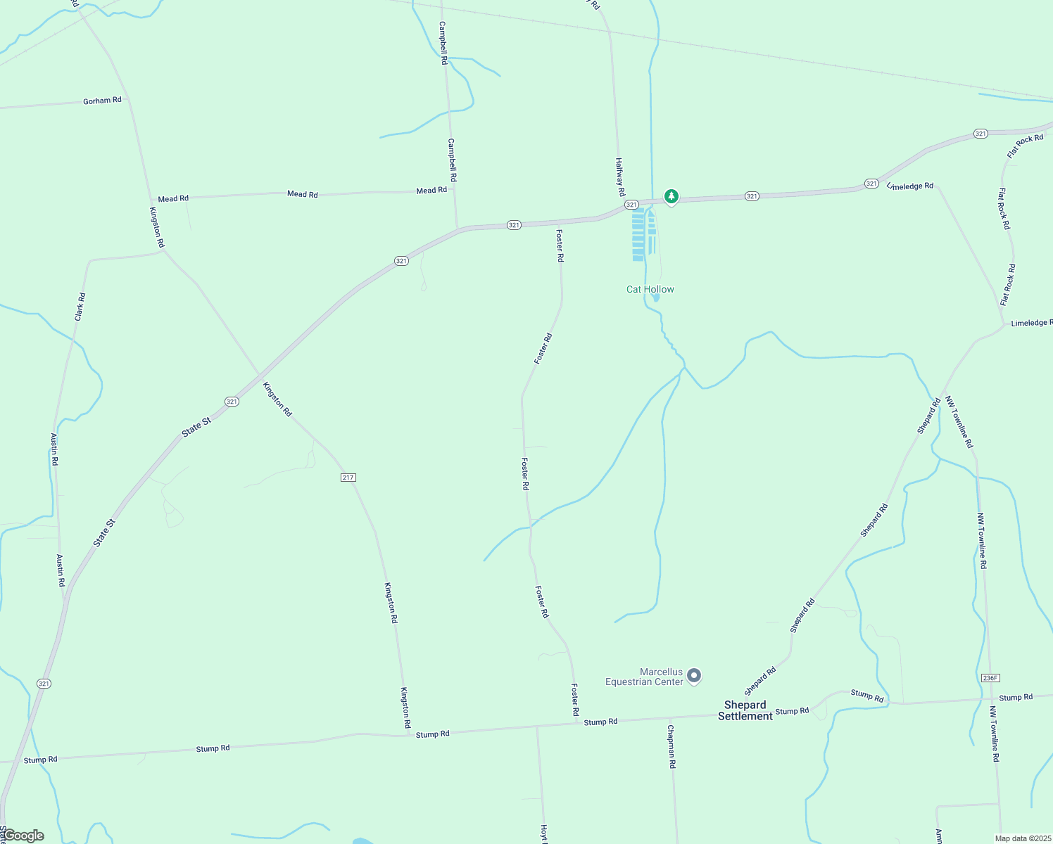 map of restaurants, bars, coffee shops, grocery stores, and more near 4890 Foster Road in Elbridge
