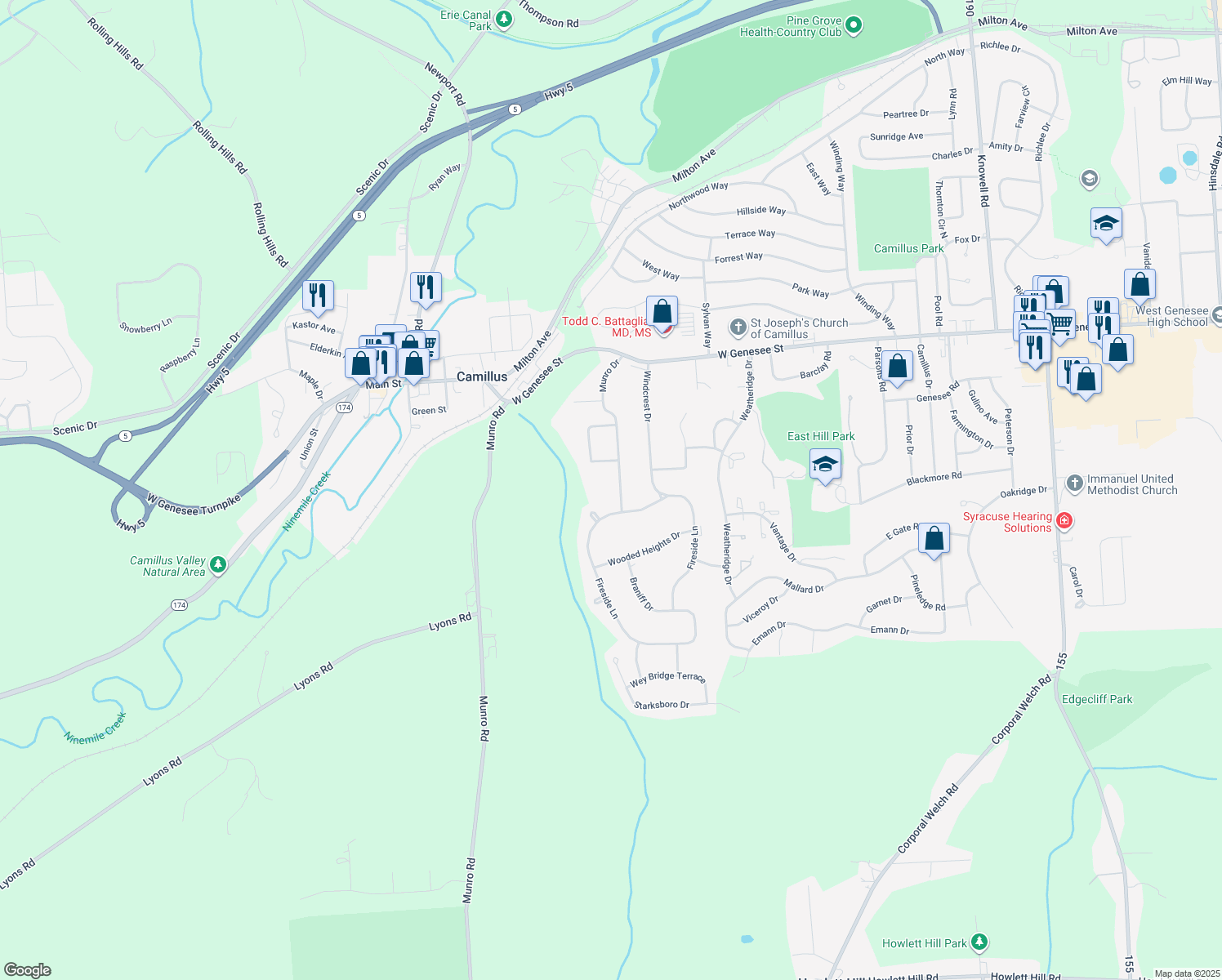 map of restaurants, bars, coffee shops, grocery stores, and more near 119 Munro Dr in Camillus