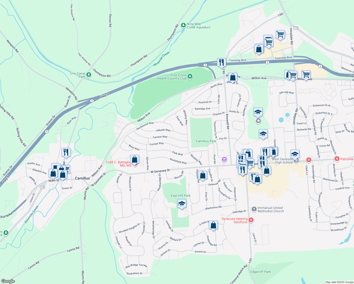 map of restaurants, bars, coffee shops, grocery stores, and more near 156 Terrace Way in Camillus