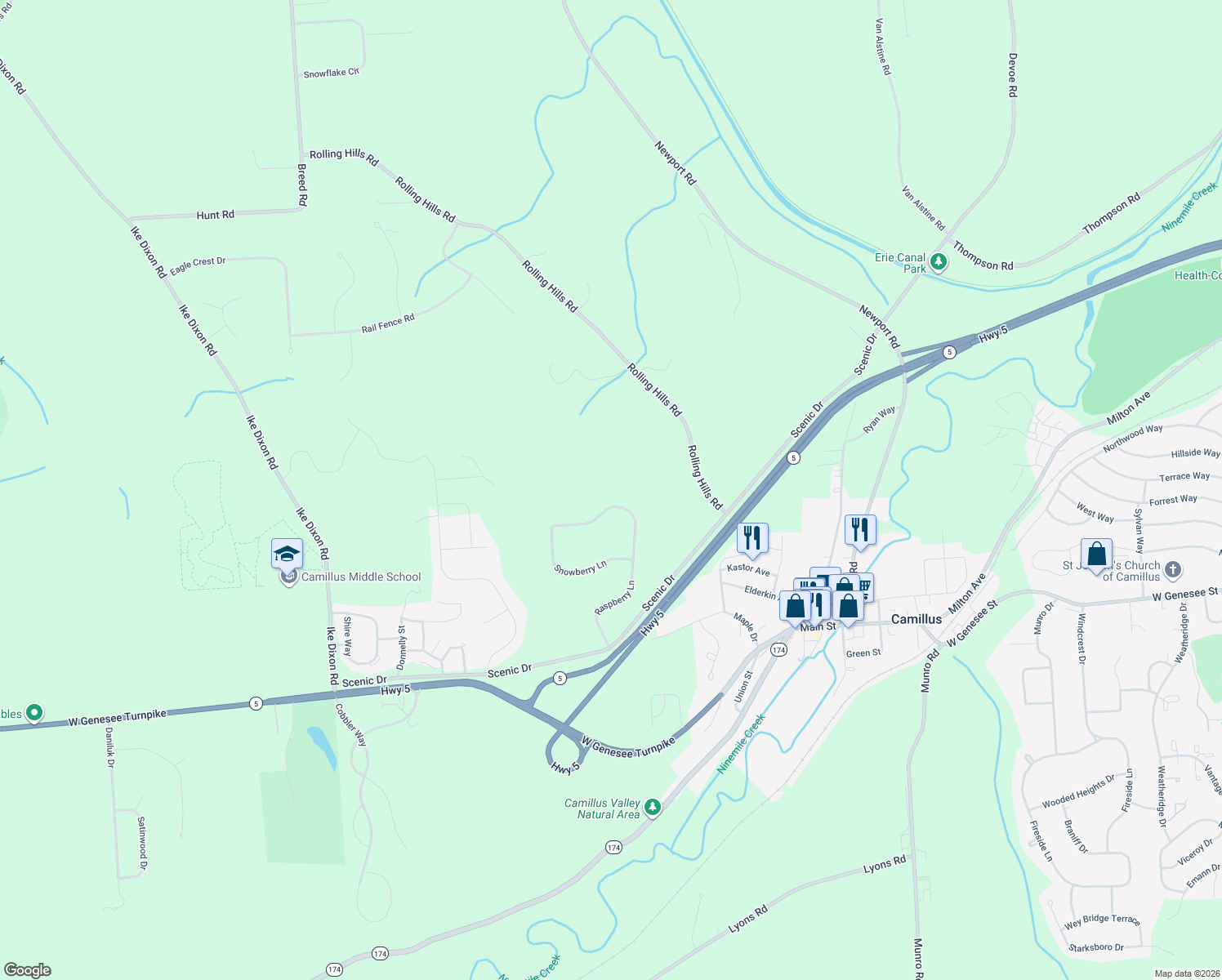 map of restaurants, bars, coffee shops, grocery stores, and more near 138 Raspberry Ln in Camillus