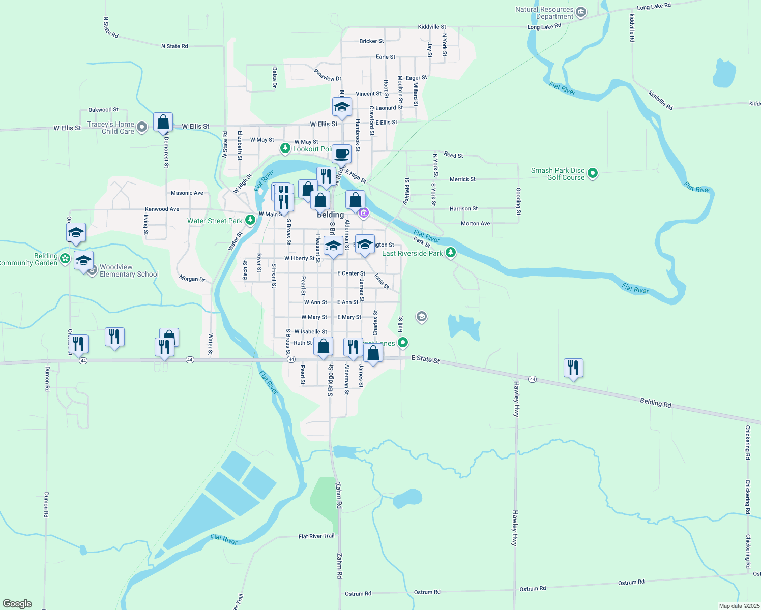 410 East Ann Street, Belding MI Walk Score