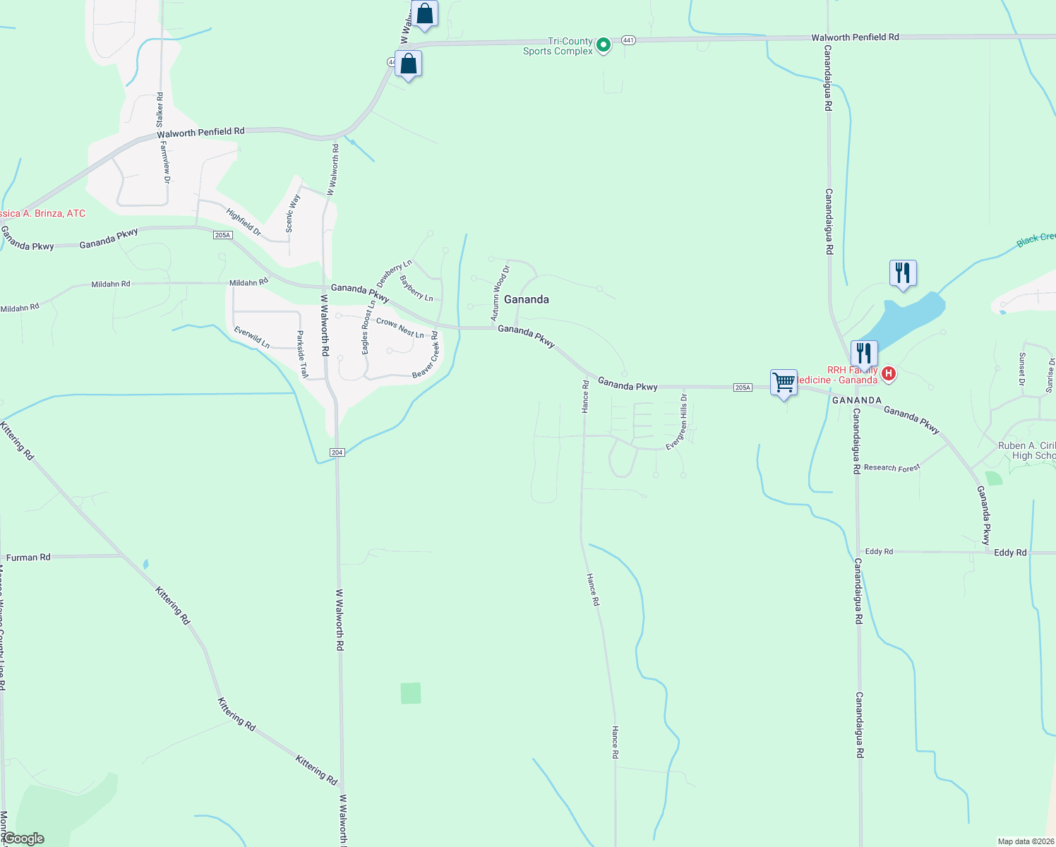 map of restaurants, bars, coffee shops, grocery stores, and more near 3241 Tanaberry Circle in Macedon