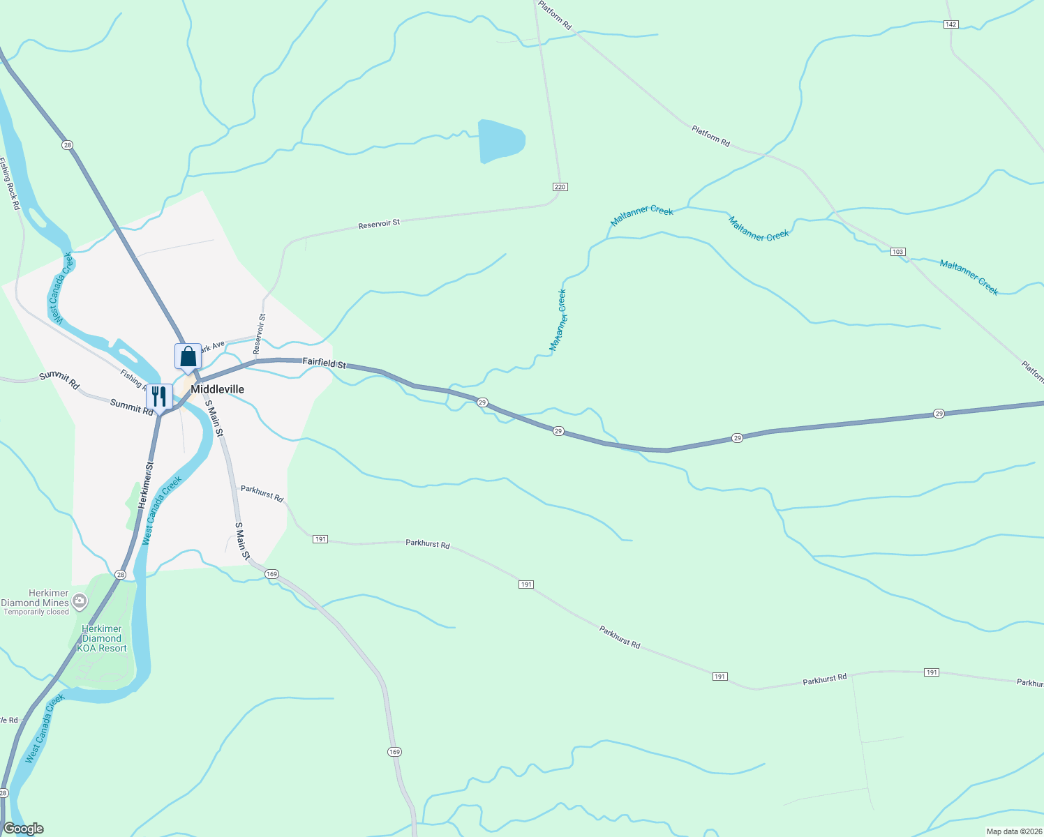 map of restaurants, bars, coffee shops, grocery stores, and more near 319 New York 29 in Middleville