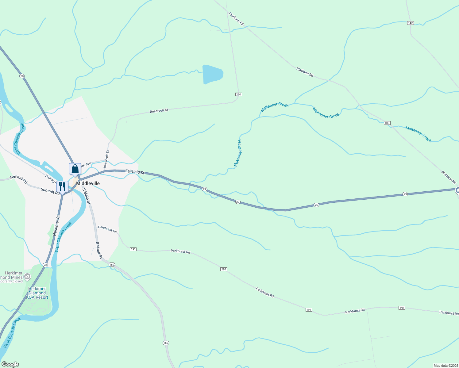 map of restaurants, bars, coffee shops, grocery stores, and more near 319 New York 29 in Middleville