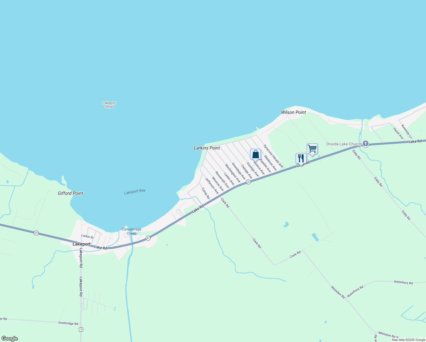 map of restaurants, bars, coffee shops, grocery stores, and more near 125 Roosevelt Ave in Canastota