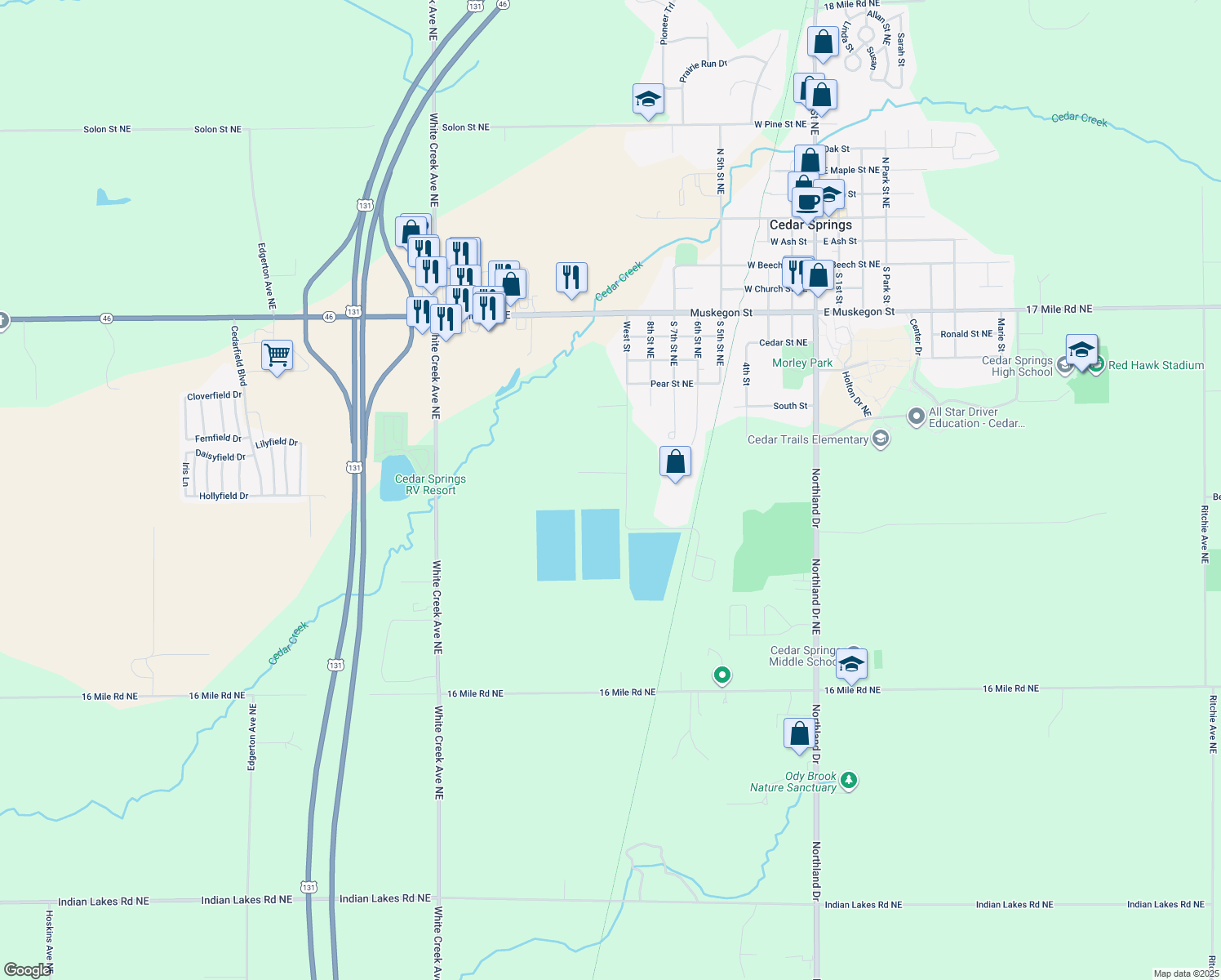 13645 West Street, Cedar Springs MI Walk Score