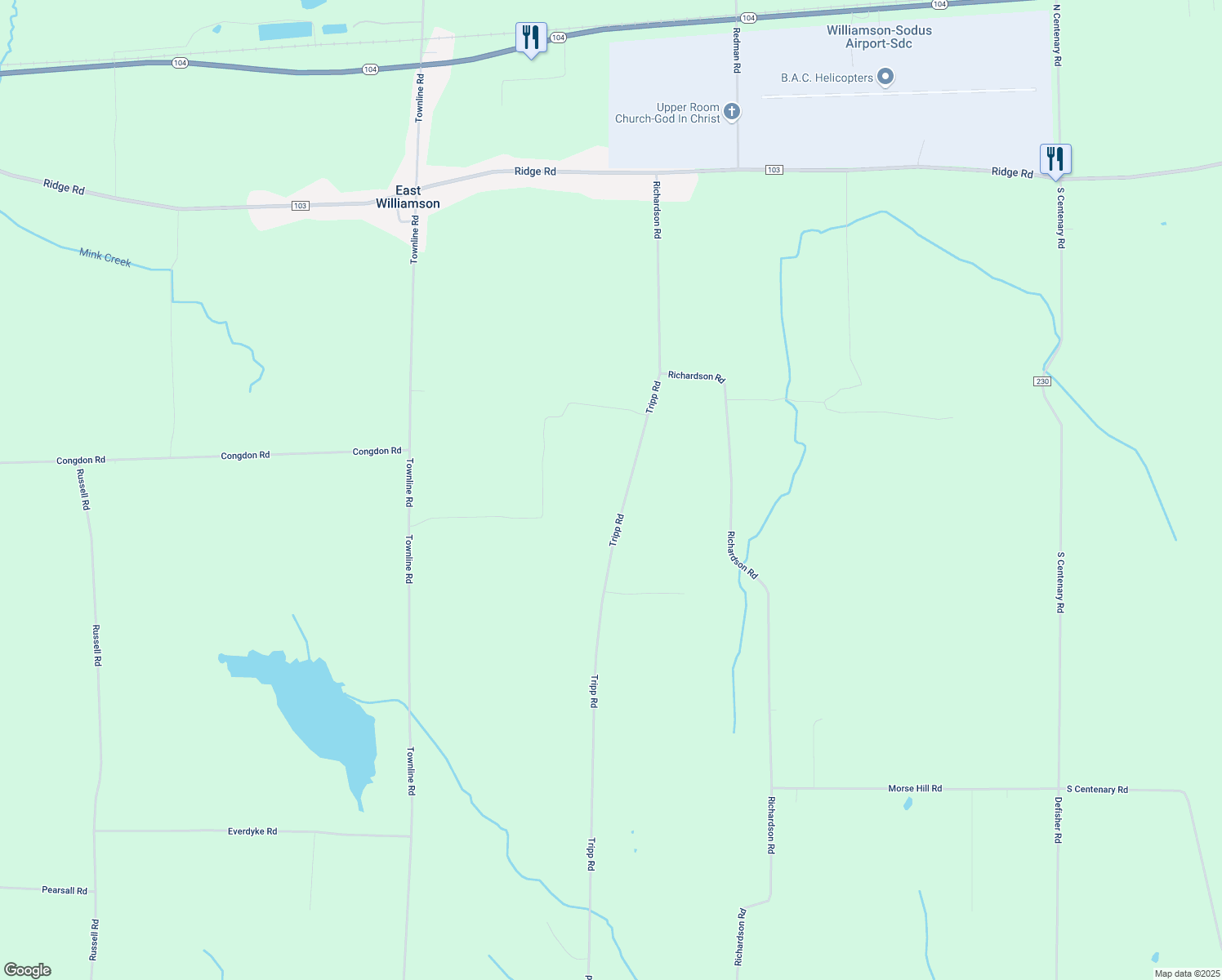 map of restaurants, bars, coffee shops, grocery stores, and more near 6045 Tripp Road in Williamson