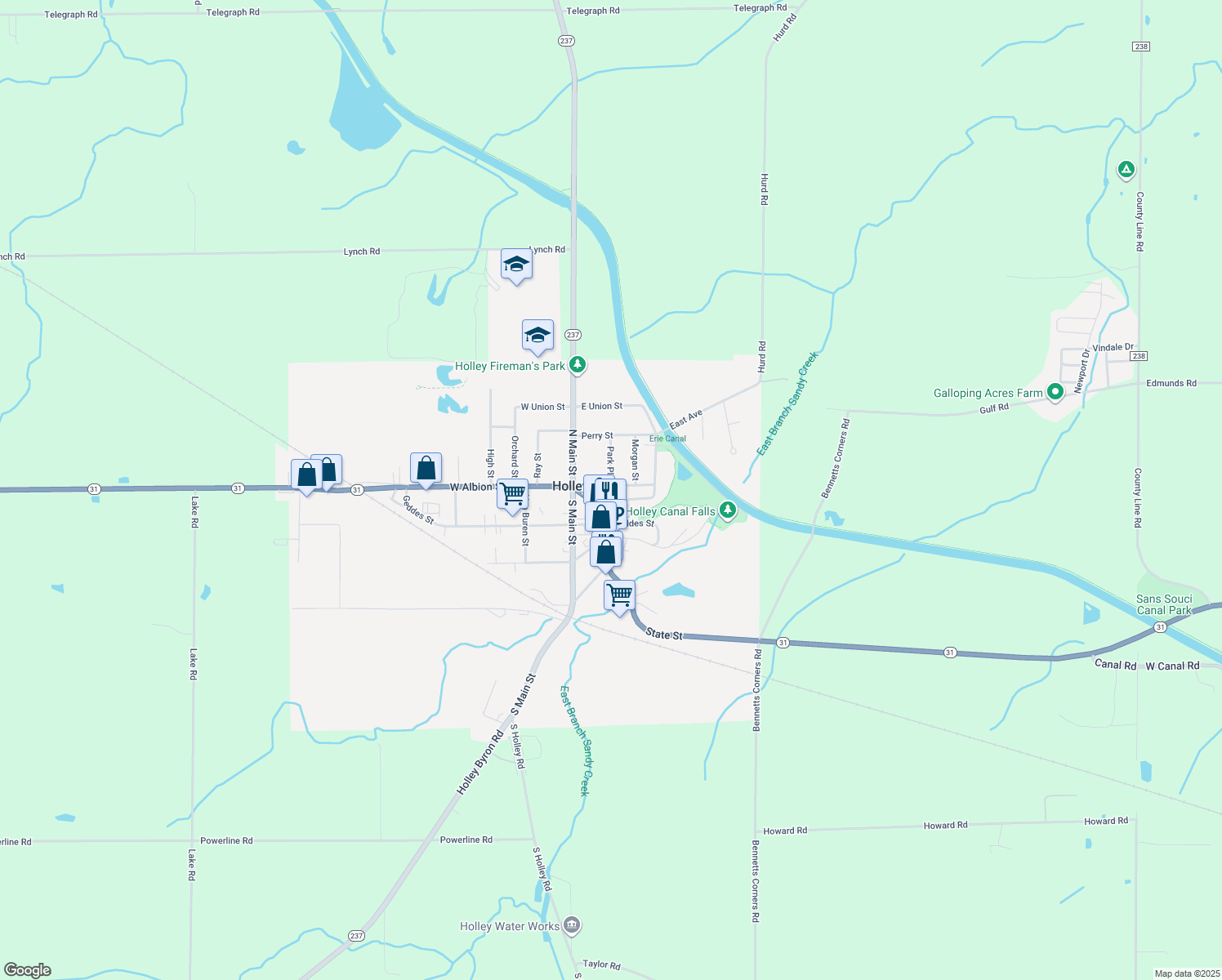 24 East Albion Street, Holley NY Walk Score