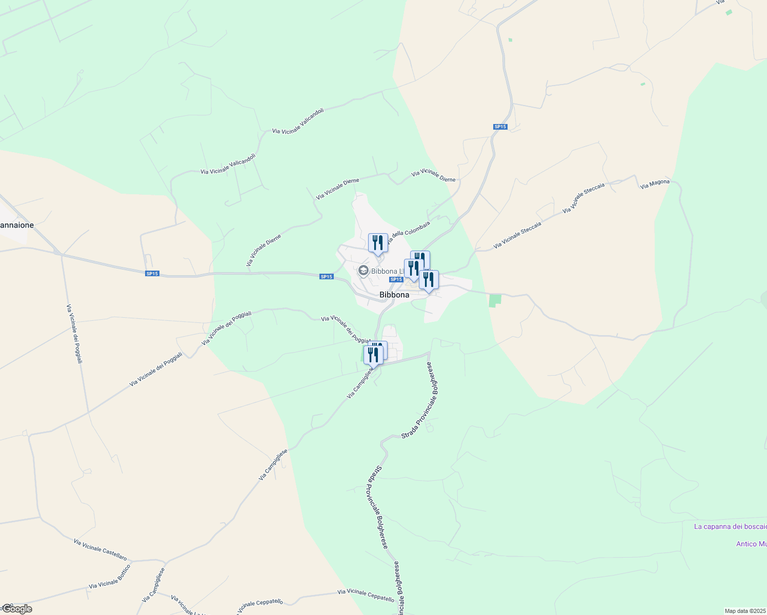 map of restaurants, bars, coffee shops, grocery stores, and more near in Bibbona