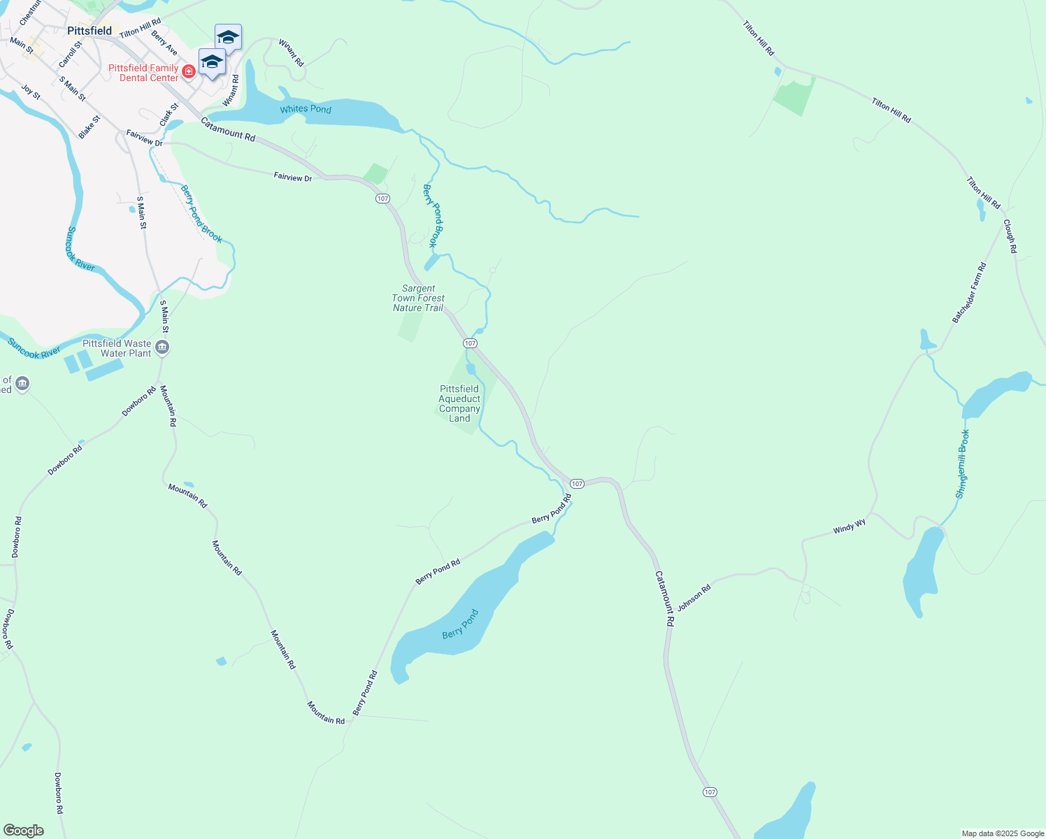 map of restaurants, bars, coffee shops, grocery stores, and more near 401 Catamount Road in Pittsfield