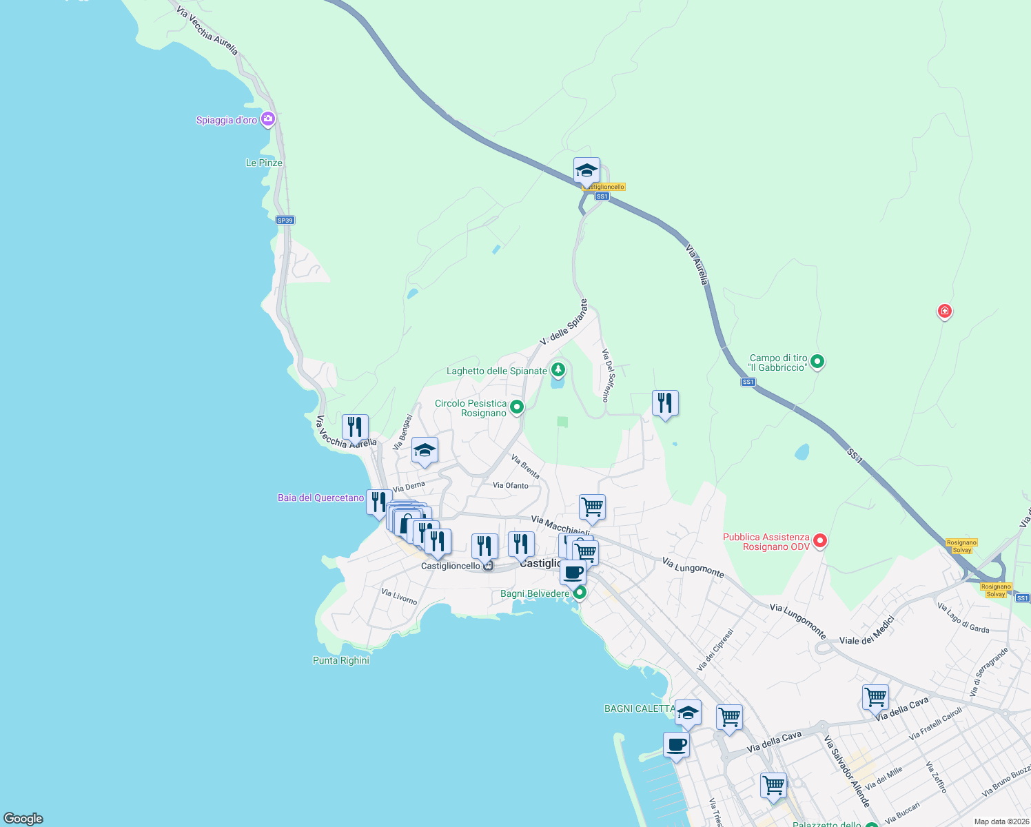 map of restaurants, bars, coffee shops, grocery stores, and more near 19 Strada Vicinale delle Spianate in Castiglioncello
