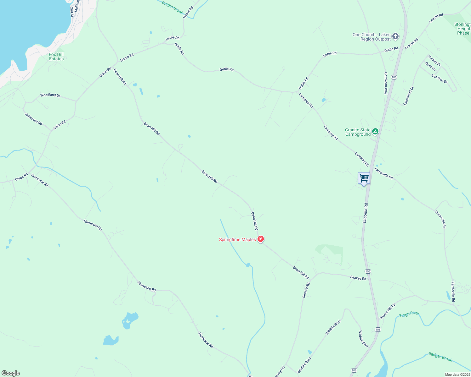 map of restaurants, bars, coffee shops, grocery stores, and more near 259 Bean Hill Road in Belmont