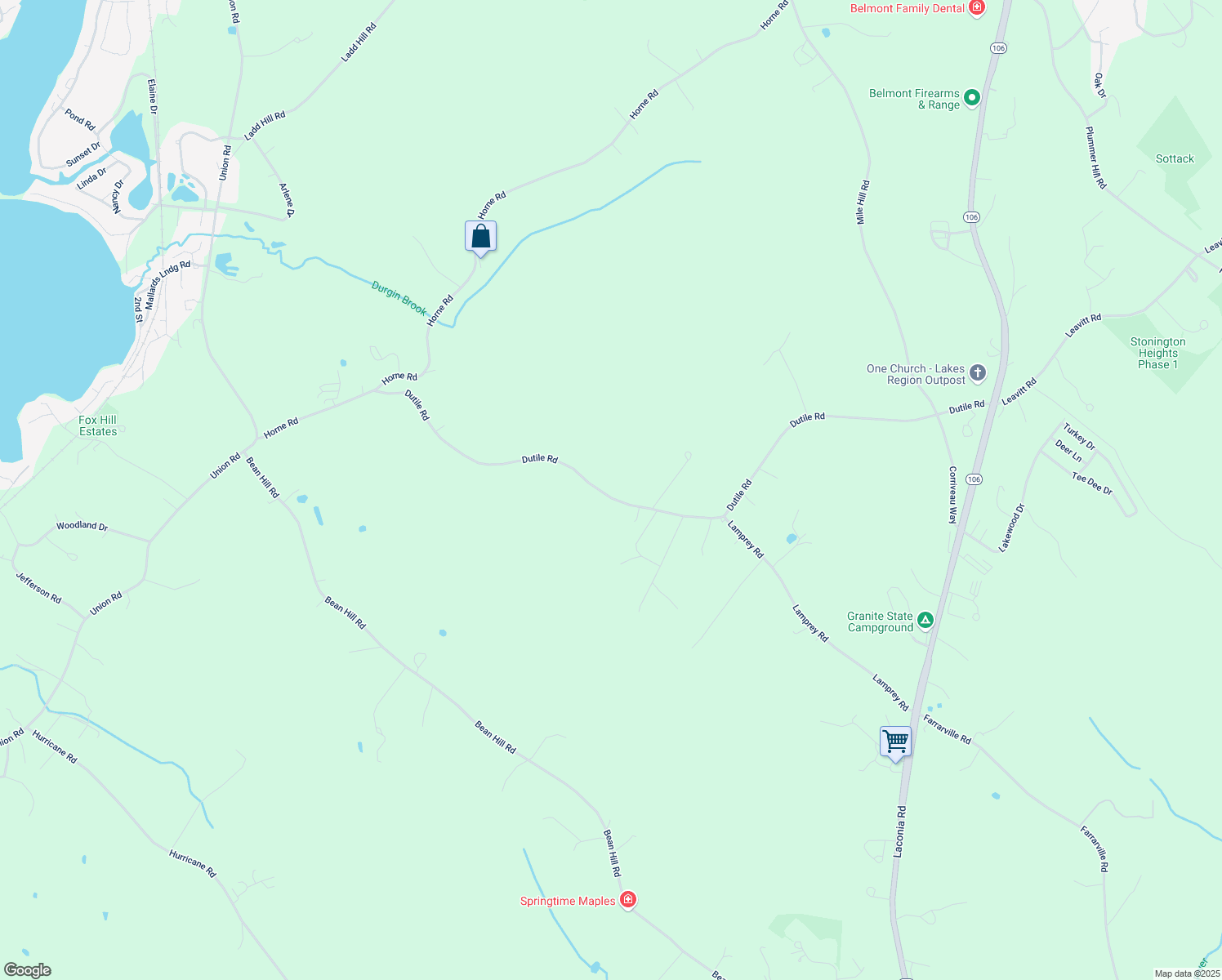 map of restaurants, bars, coffee shops, grocery stores, and more near 250 Dutile Road in Belmont
