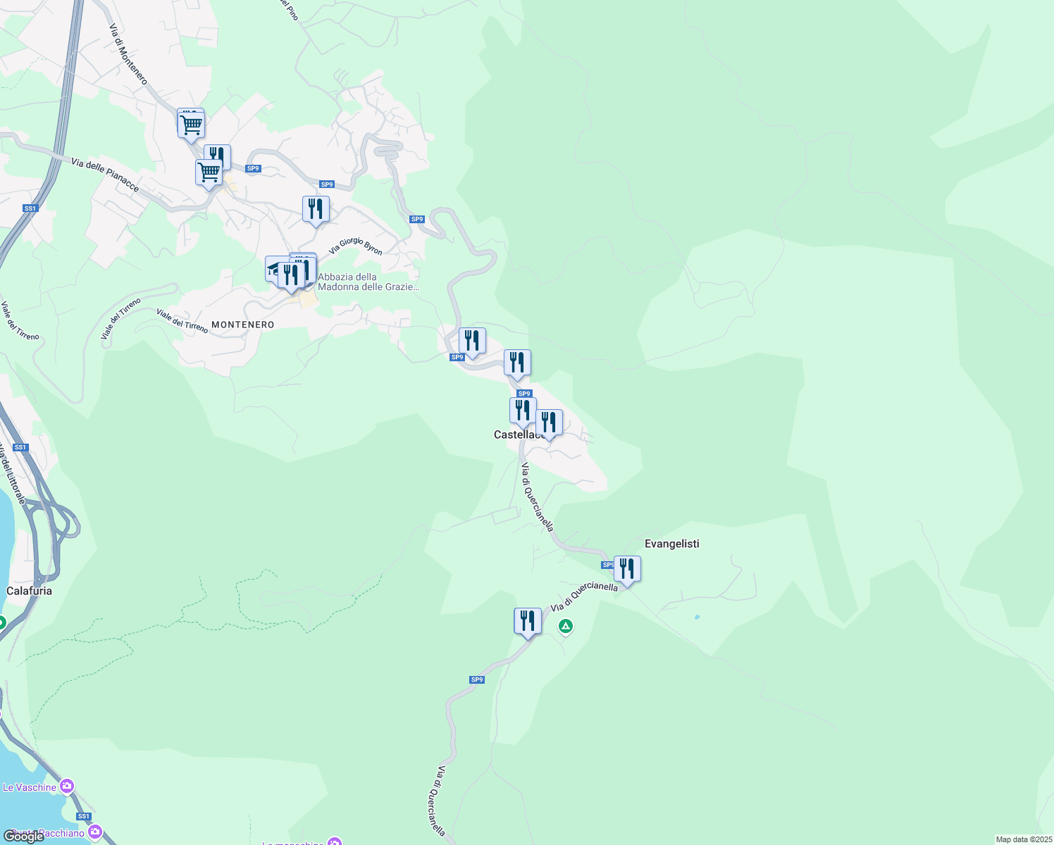 map of restaurants, bars, coffee shops, grocery stores, and more near Via di Quercianella in Castellaccio