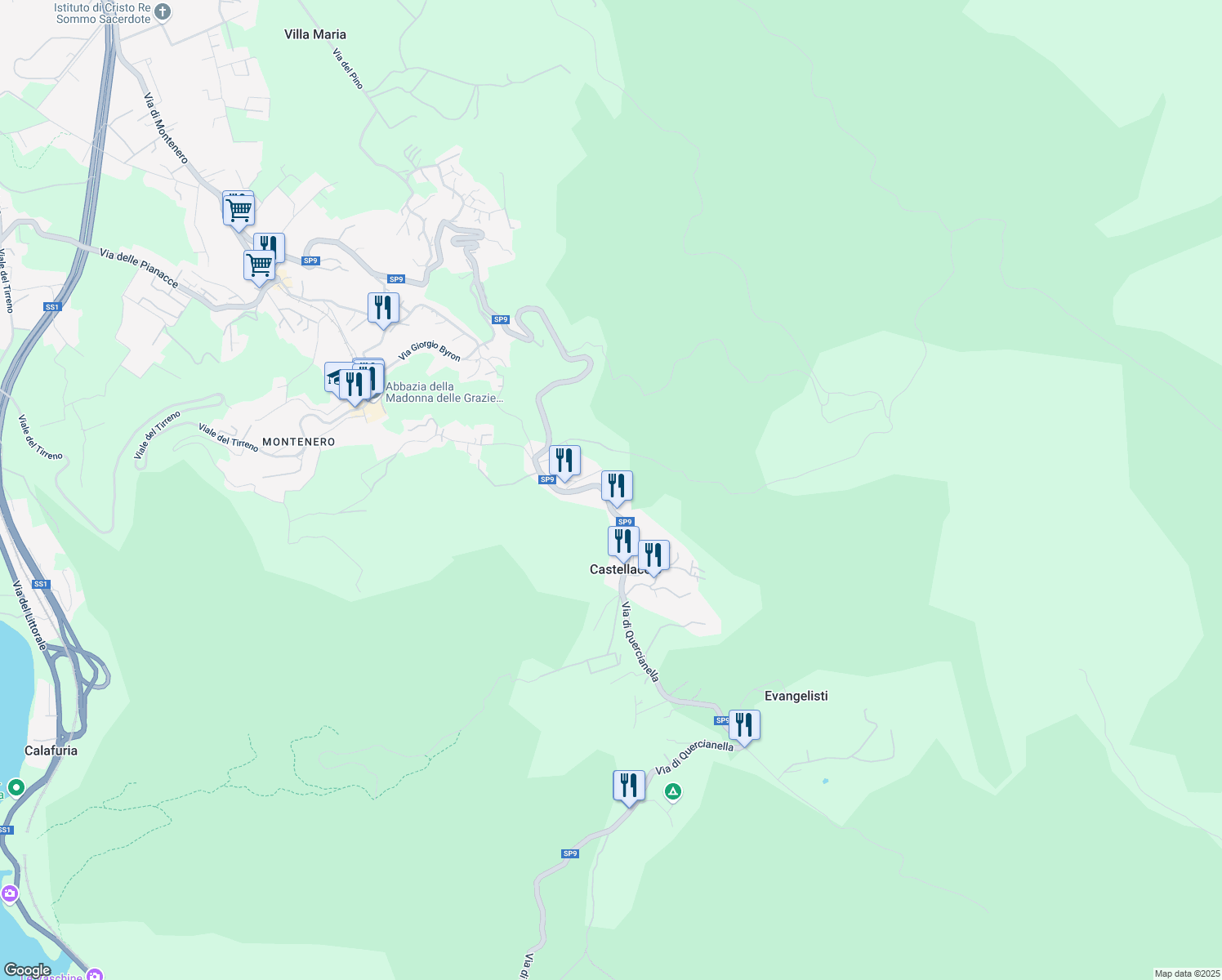 map of restaurants, bars, coffee shops, grocery stores, and more near Via di Quercianella in Castellaccio