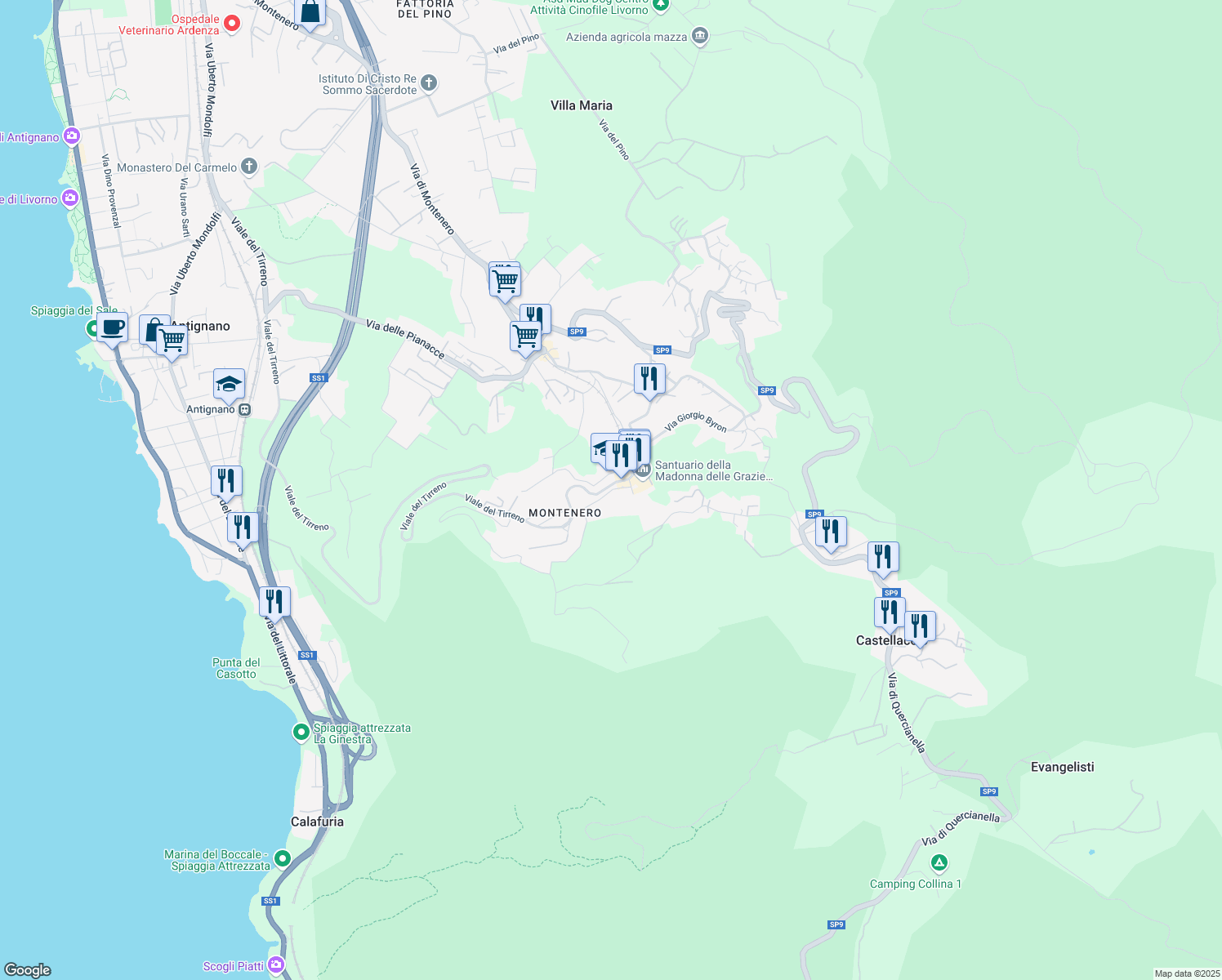 map of restaurants, bars, coffee shops, grocery stores, and more near 10 Via della Lecceta in Livorno