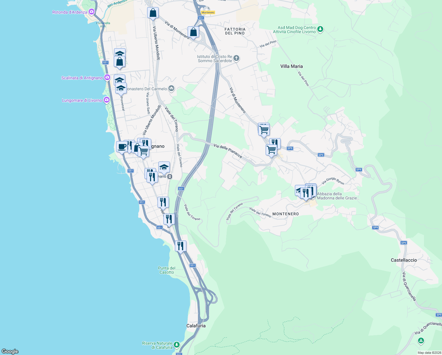 map of restaurants, bars, coffee shops, grocery stores, and more near 219 Via dei Salici in Livorno