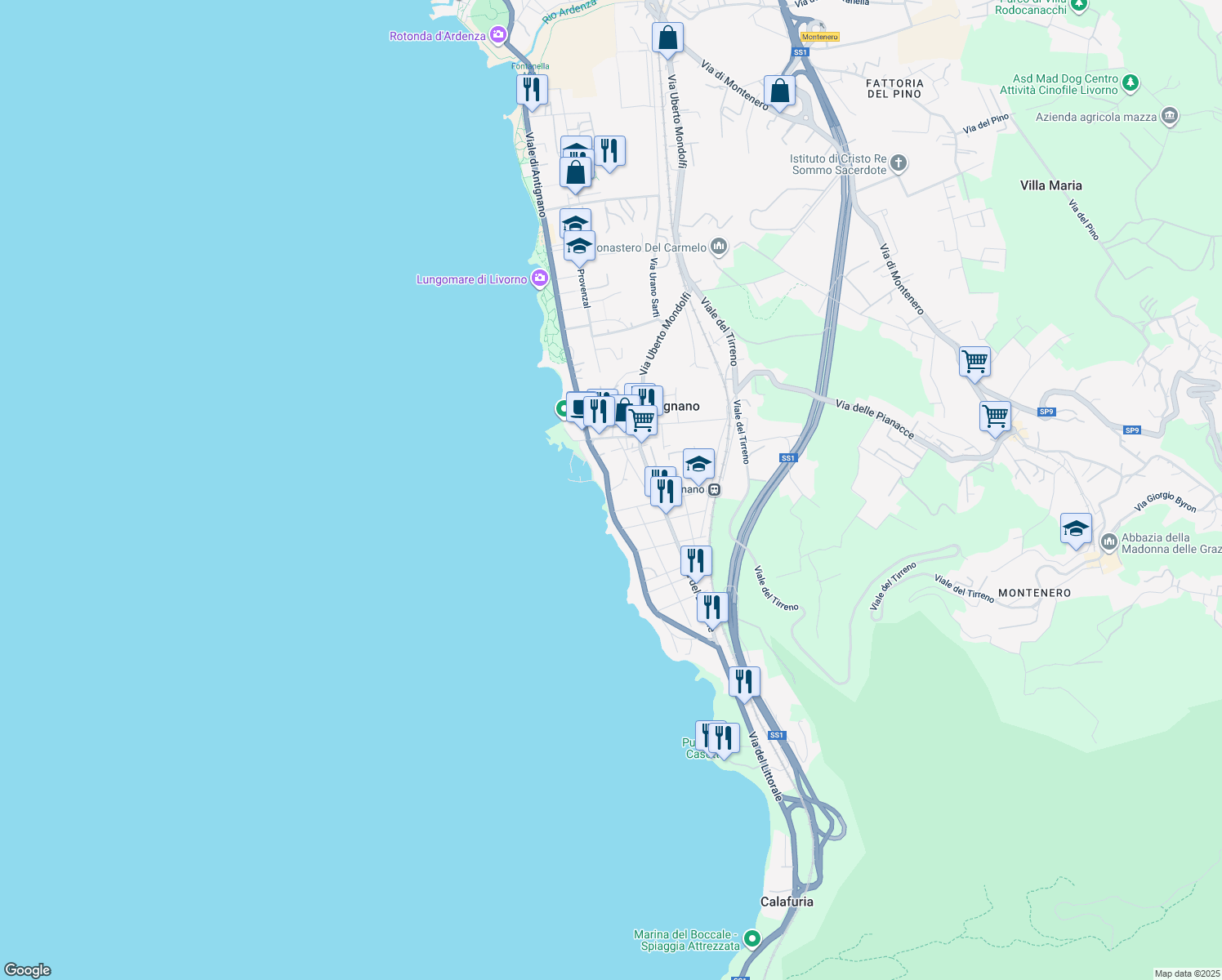 map of restaurants, bars, coffee shops, grocery stores, and more near 86 Via Duca Cosimo in Livorno
