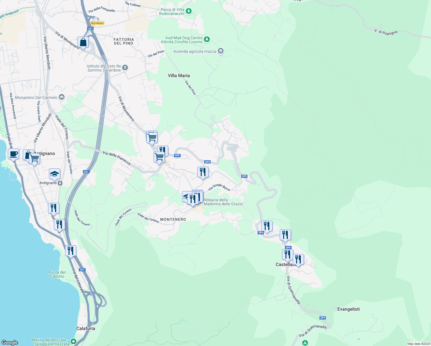map of restaurants, bars, coffee shops, grocery stores, and more near 197 Via del Castellaccio in Livorno