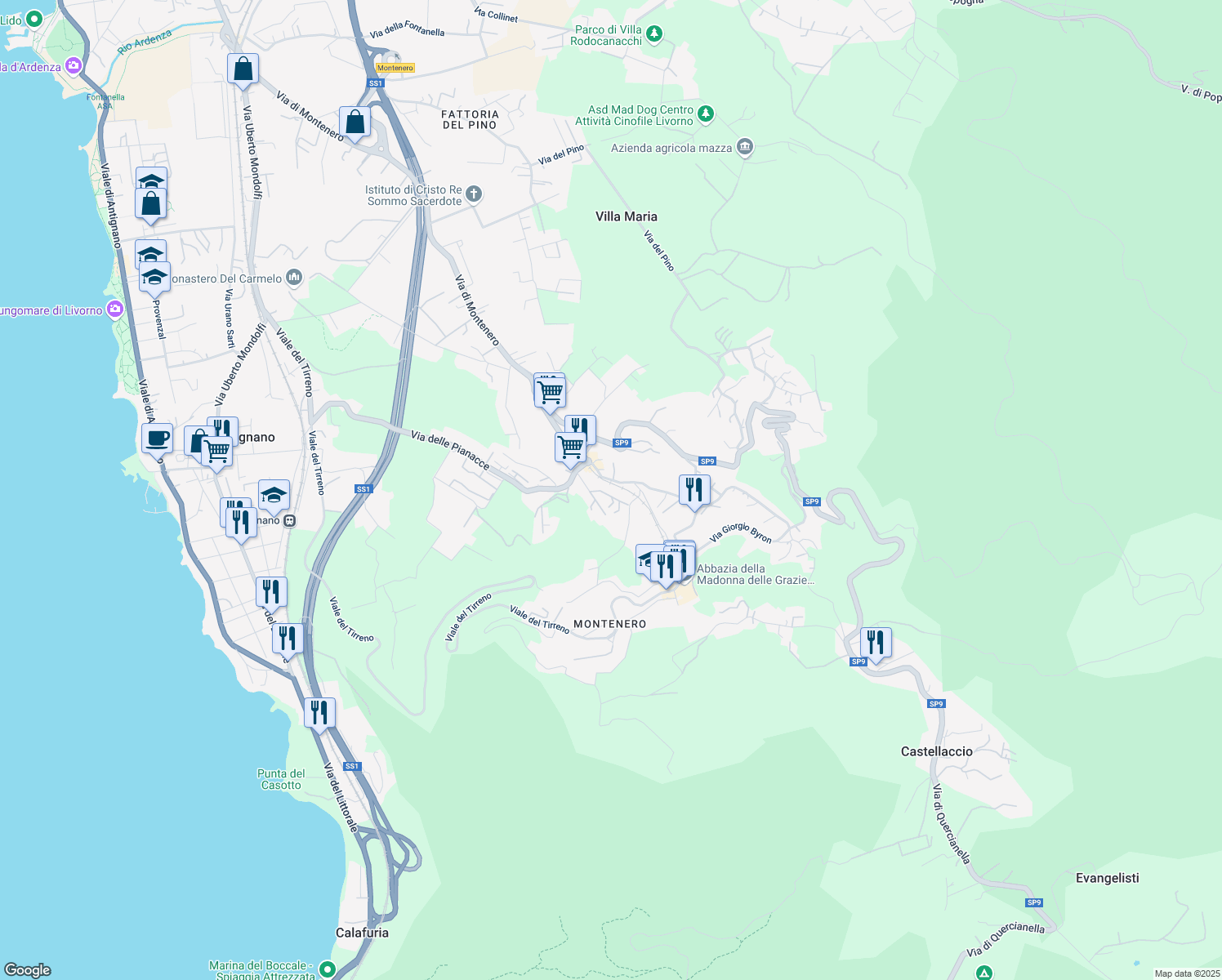 map of restaurants, bars, coffee shops, grocery stores, and more near 19 Via di Montenero in Livorno