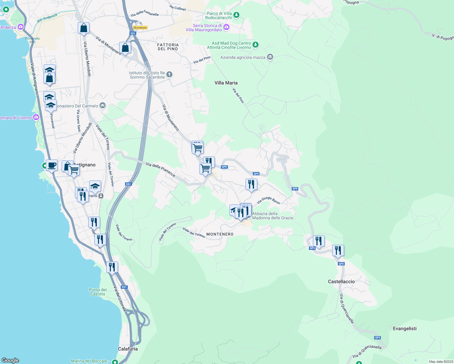 map of restaurants, bars, coffee shops, grocery stores, and more near 374 Via di Montenero in Livorno