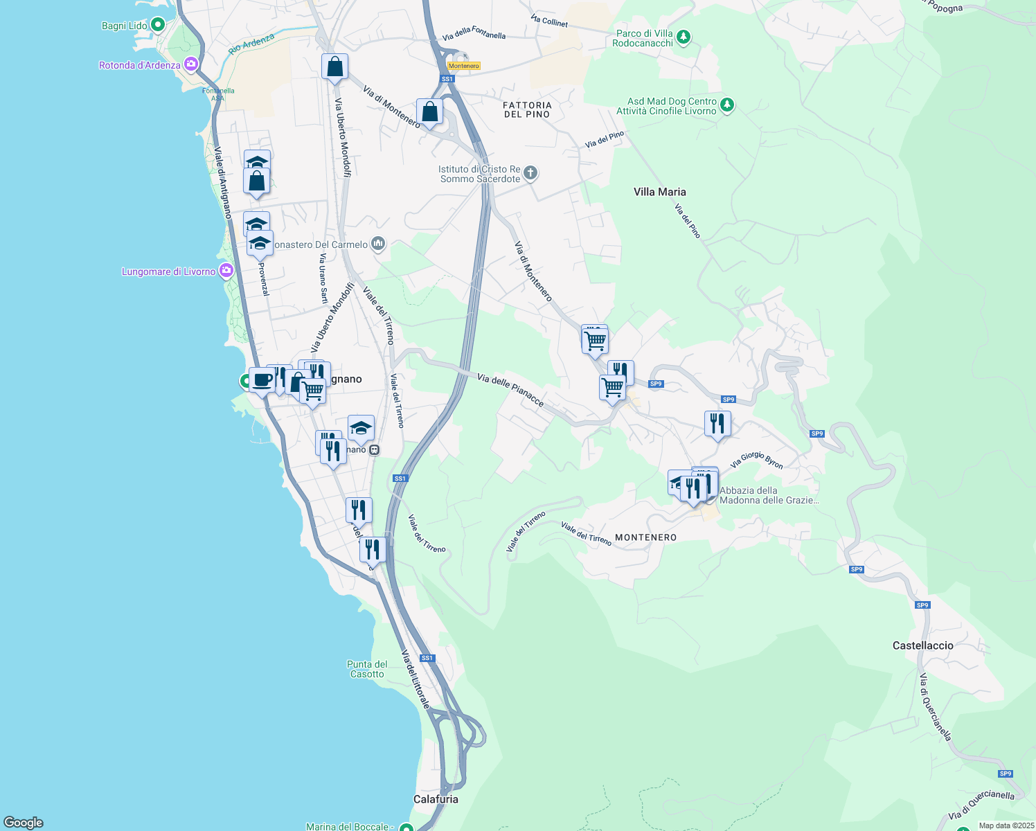 map of restaurants, bars, coffee shops, grocery stores, and more near 90 Via delle Villette in Livorno